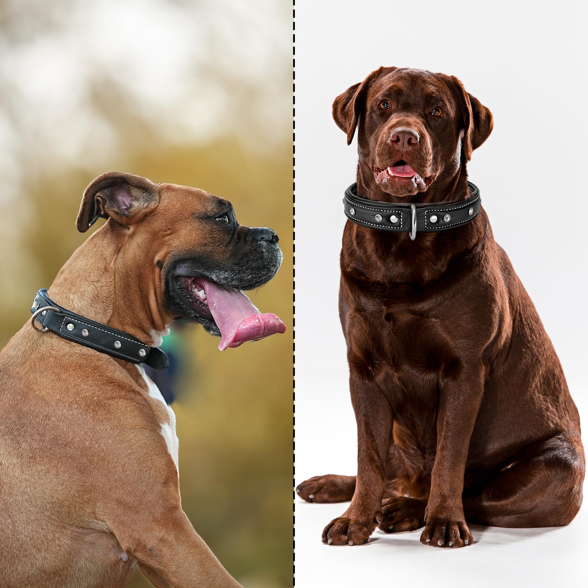 Adil’S Black Studded Softy Leather Dog Collar 1inch Width Suitable for Small, Medium & Large Dogs with Strong Metal Buckle & D-Ring for leashes, Size: S to XL, Brown (S, Black Stud)