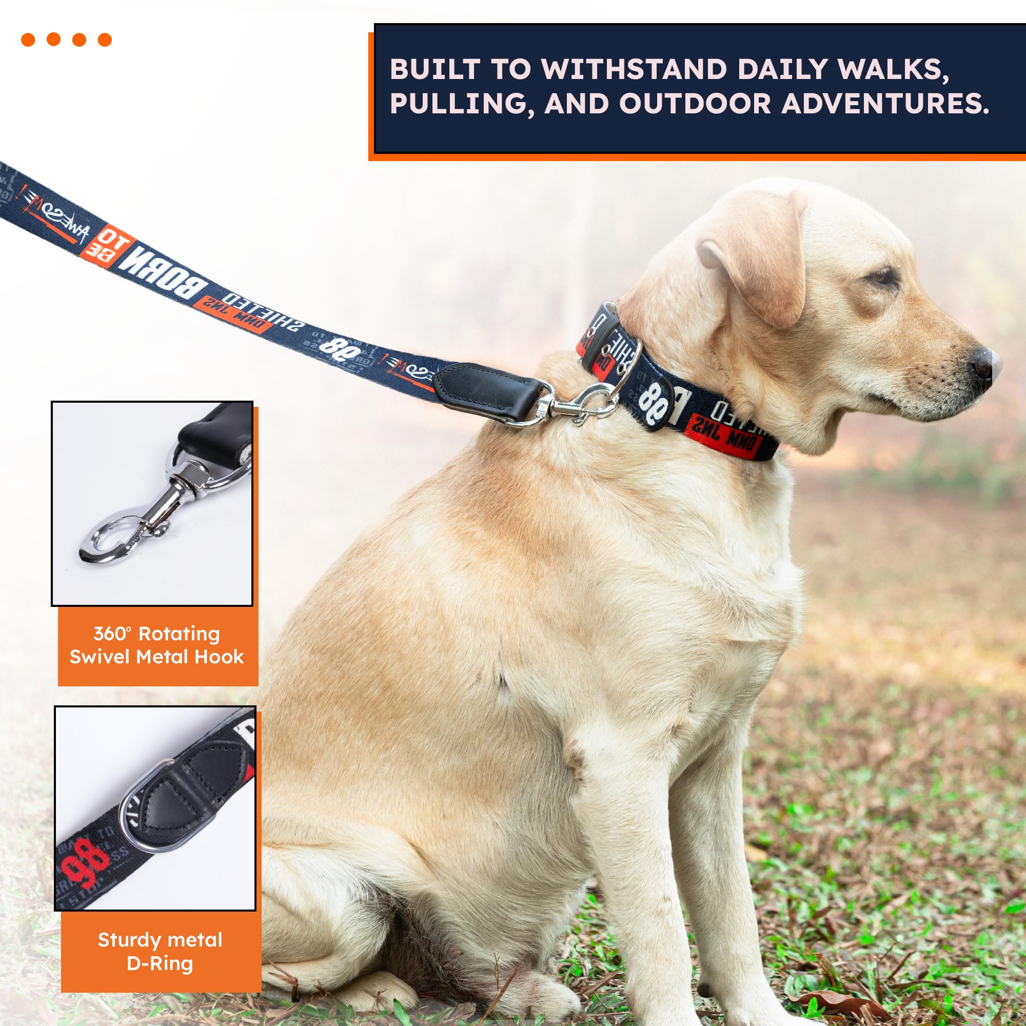 ADIL's Handcrafted Cotton Dog Leash – Premium Graffiti Printed Webbing Pet Walking Lead with Soft Loop Handle 360° Chrome Swivel Hook Strong Metallic D-Ring for Small Medium Large Dogs, 5ft