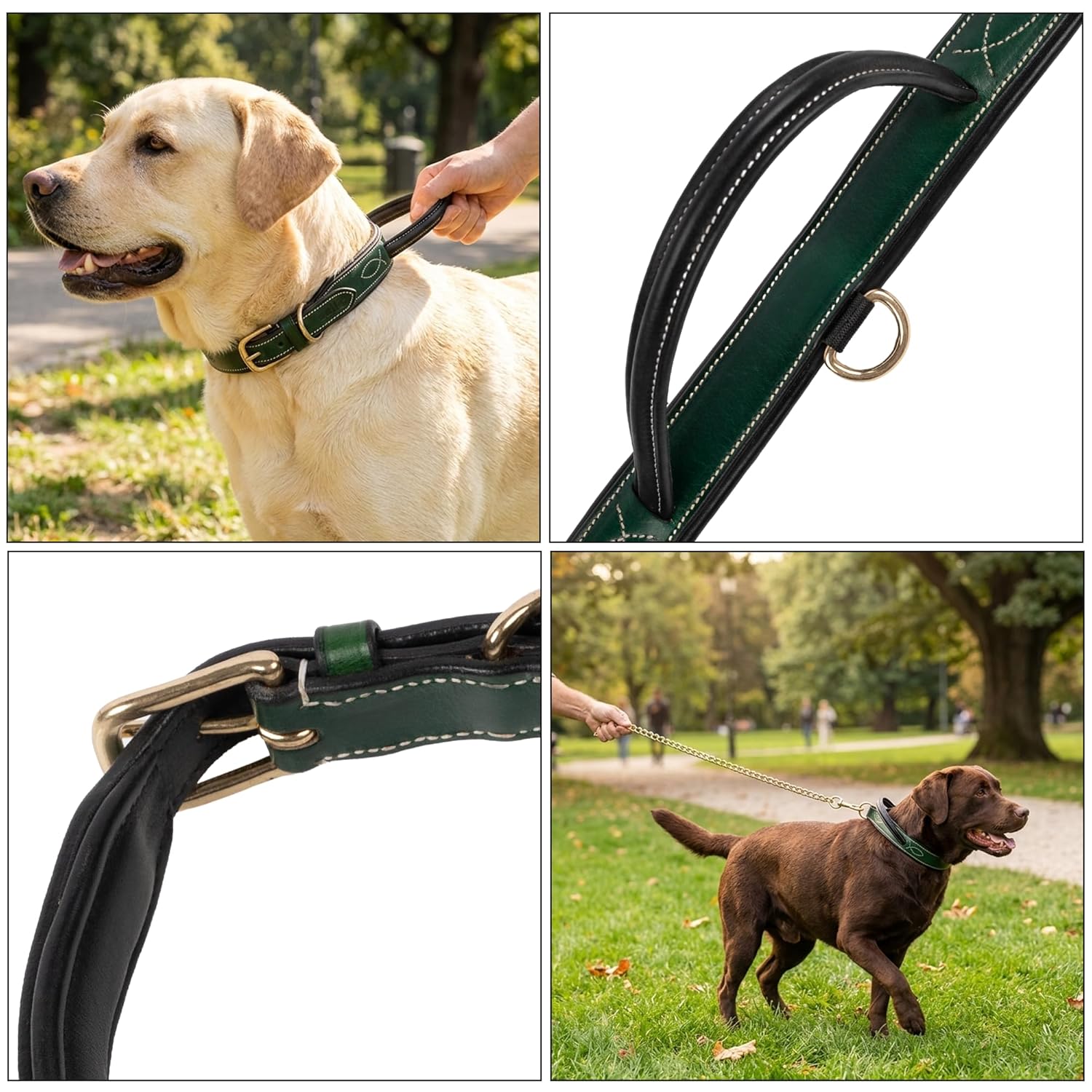 Adil's Softy Leather Dog Collar with Control Handle 1.5 inch Wide Built-in Quick Grab Leather Pull Strap, Heavy Duty Dual D-Ring Neckbelt for Medium & Large Dogs