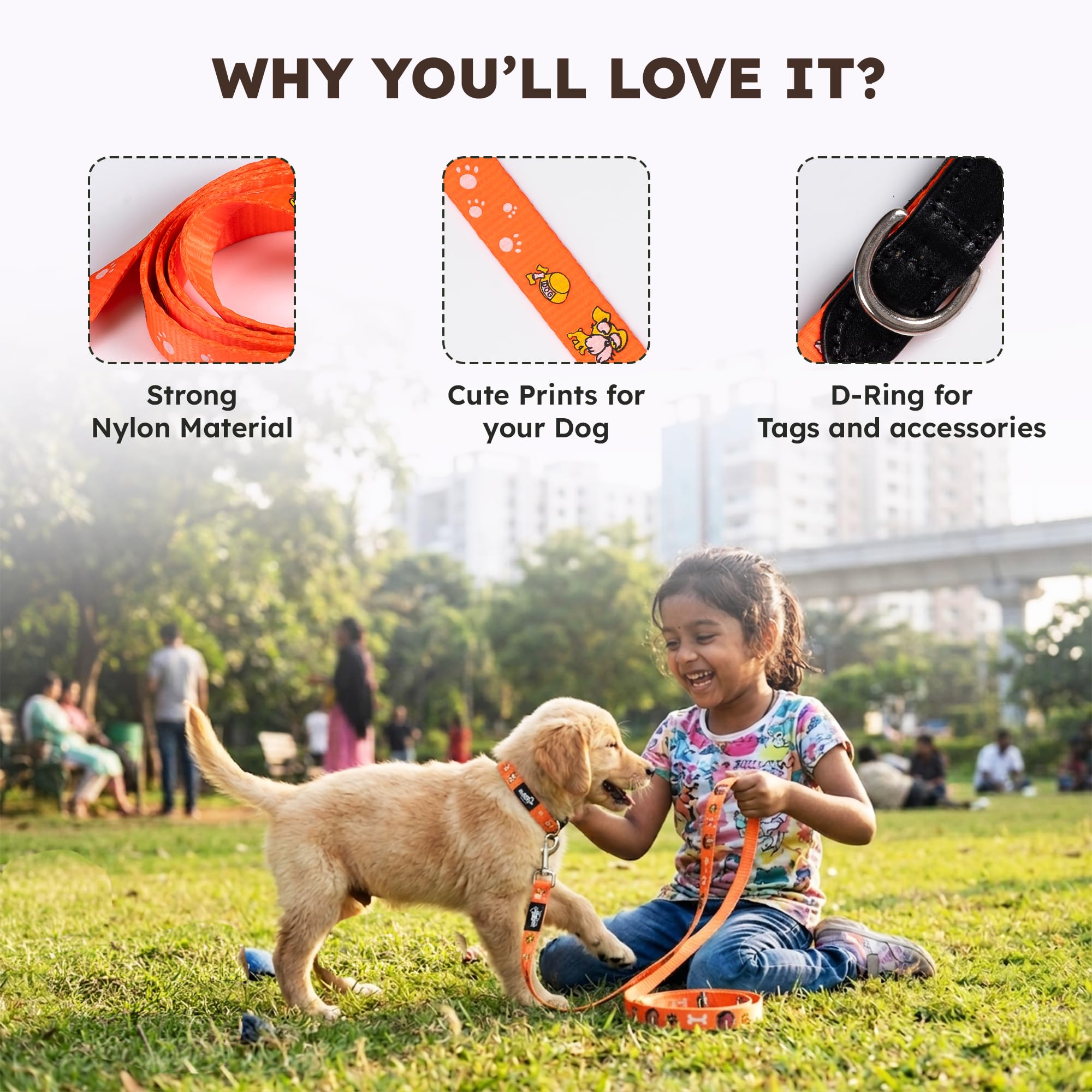 Adil’s Nylon Paw Print Dog Leash – 19mm Wide 5ft Long Durable Lead with 360° Swivel Hook Loop Handle Metal D-Ring Walking Training for Small Medium Pets