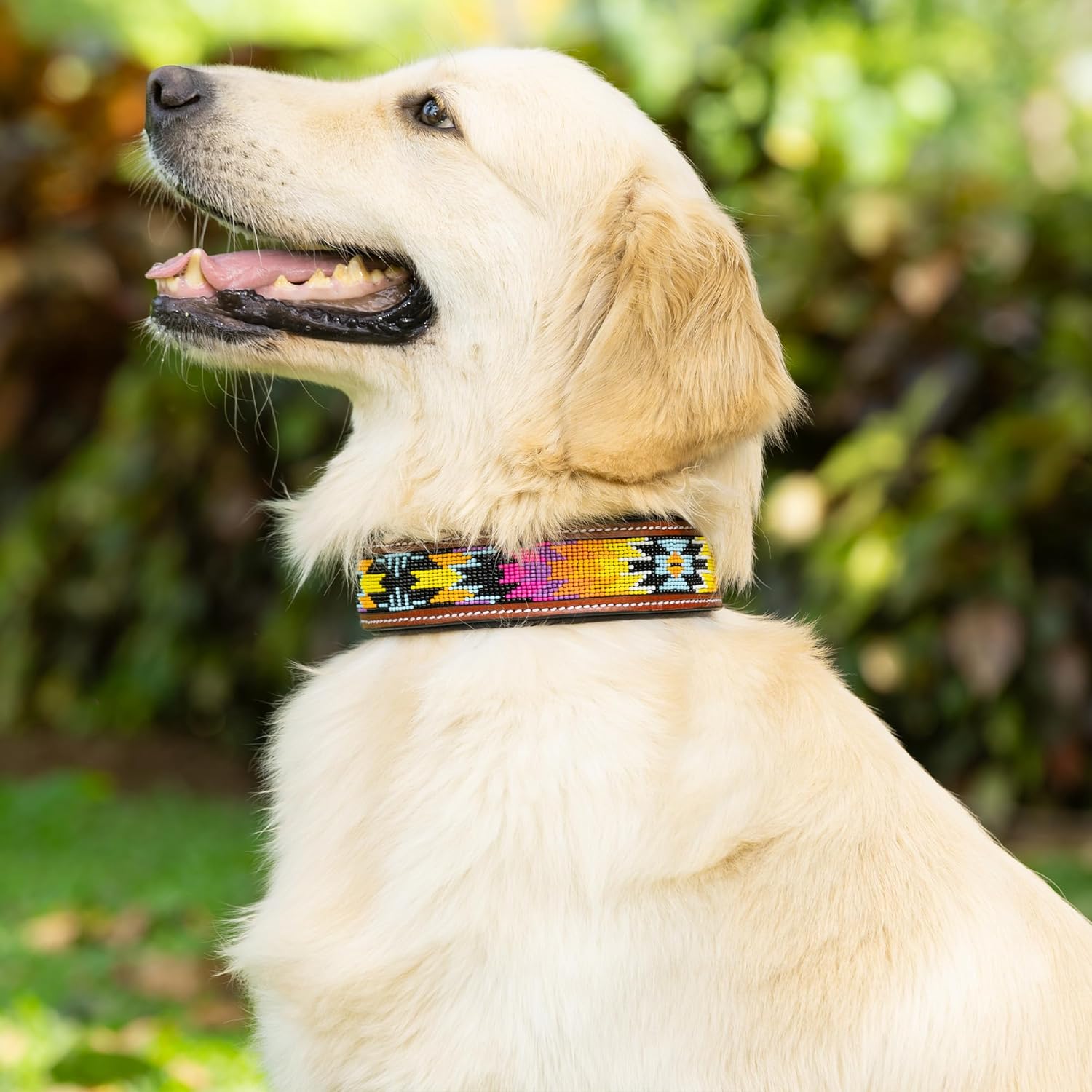 Adil’S Beaded Leather Dog Collar 1.5 Inch Width, Hand Tooled Adjustable Beaded Dog Collars with Strong Metal Buckle & D-Ring Suitable Dogs