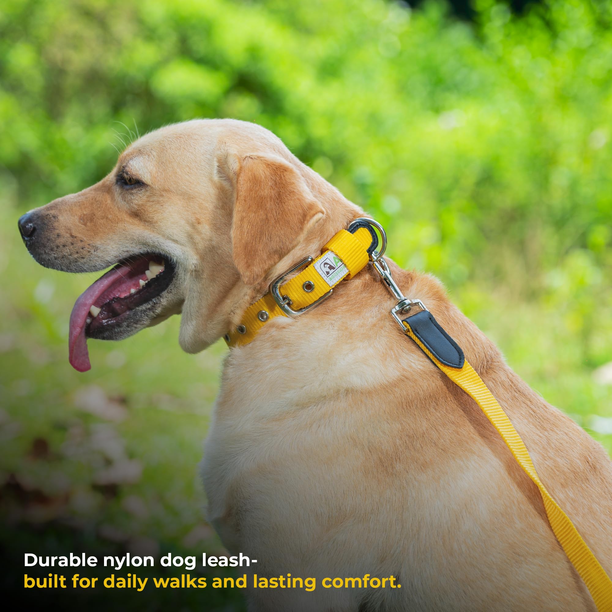 Adil’s 5FT Adjustable Nylon Dog Leash with Soft Leather Handle – Durable Long Lead with 360° Swivel Hook – Strong, Tangle-Free Leash for Walking & Training Small, Medium & Large Dogs