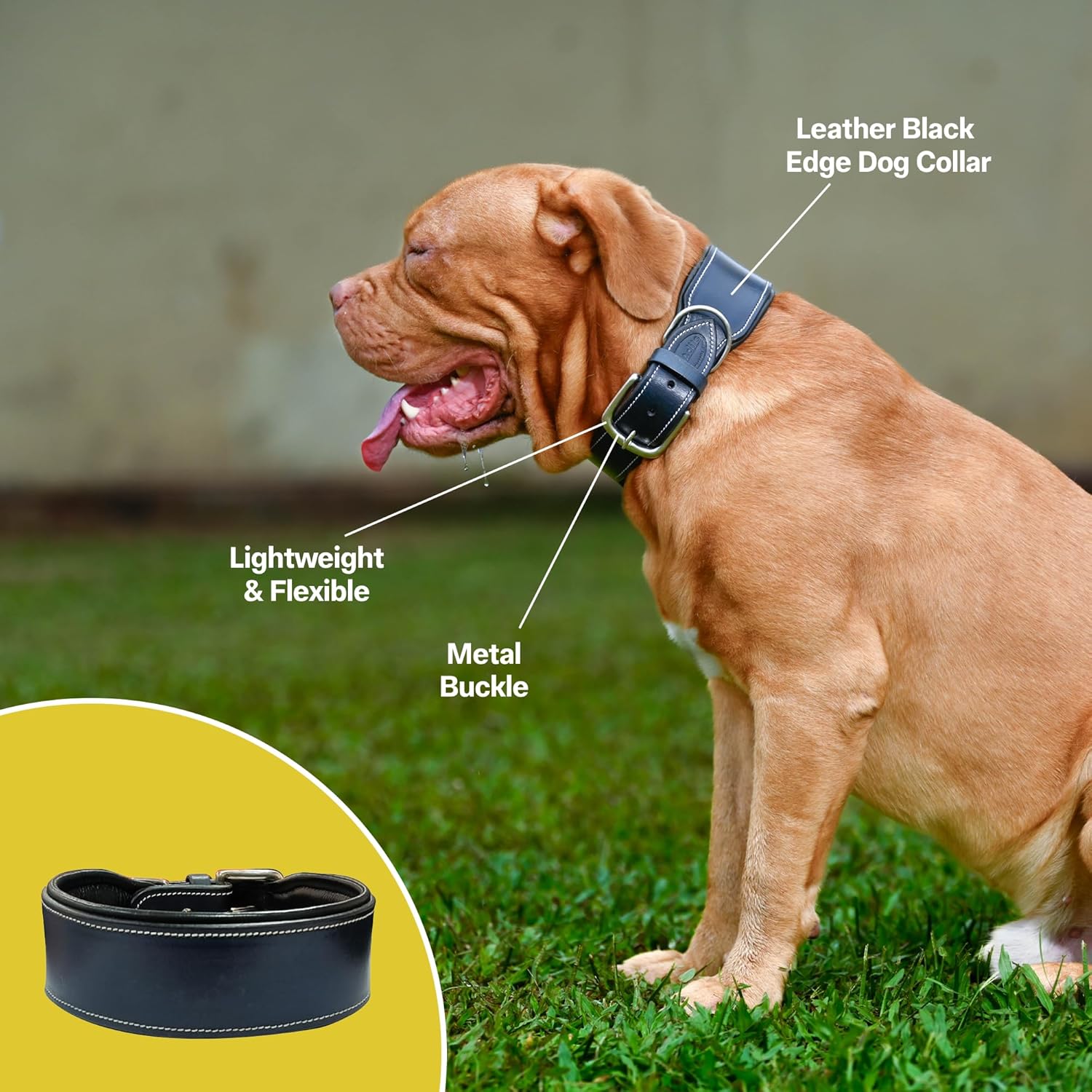 Adil’S Colour Padding Leather Dog Collar 2.25 Inches Width, Heavy Duty, Adjustable Leather Handmade Dog Collar with Strong Metal Buckle, Neck Size: 16” to 26” (Black, M)