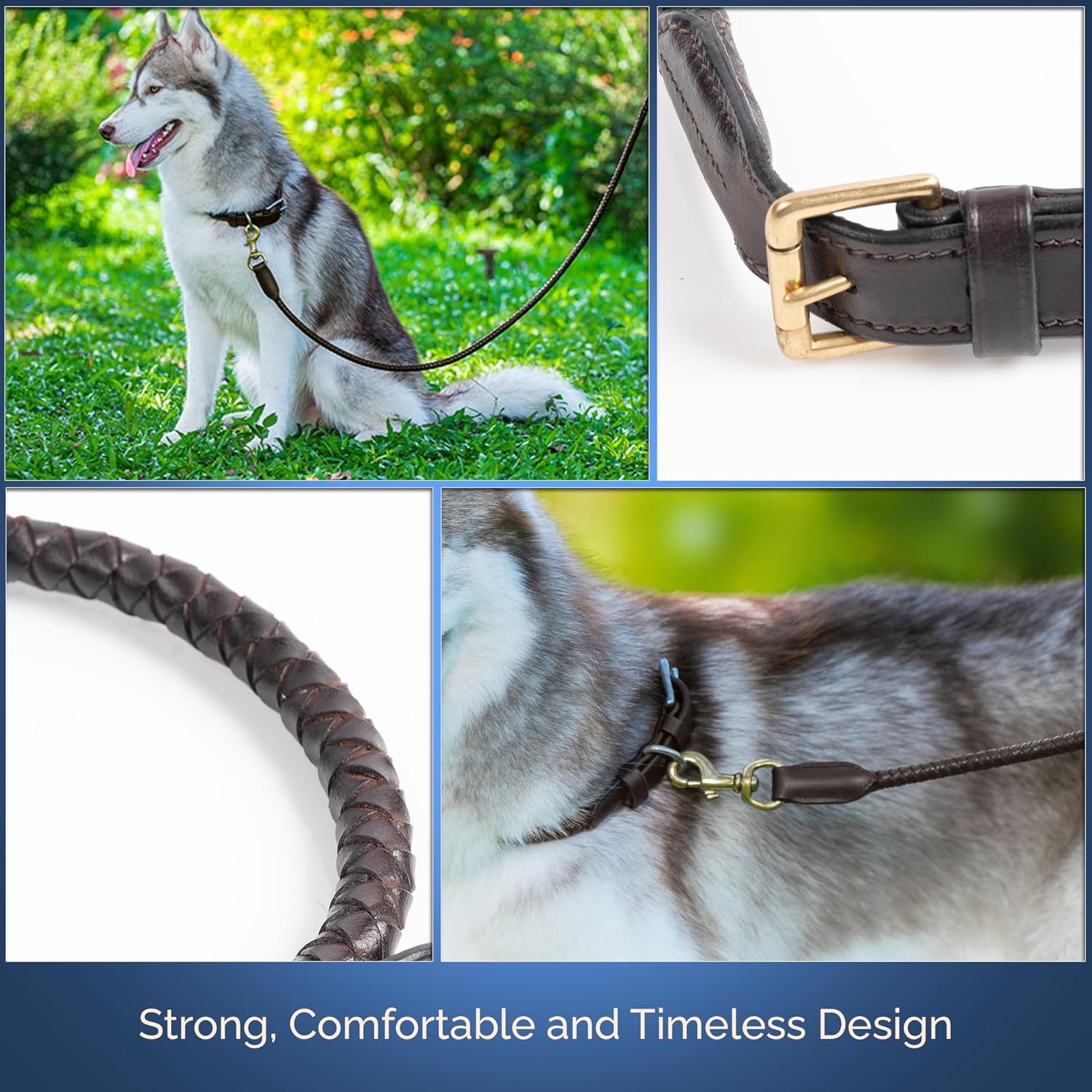 Braided Rolled Drum Dyed (DD) Leather Dog Collar