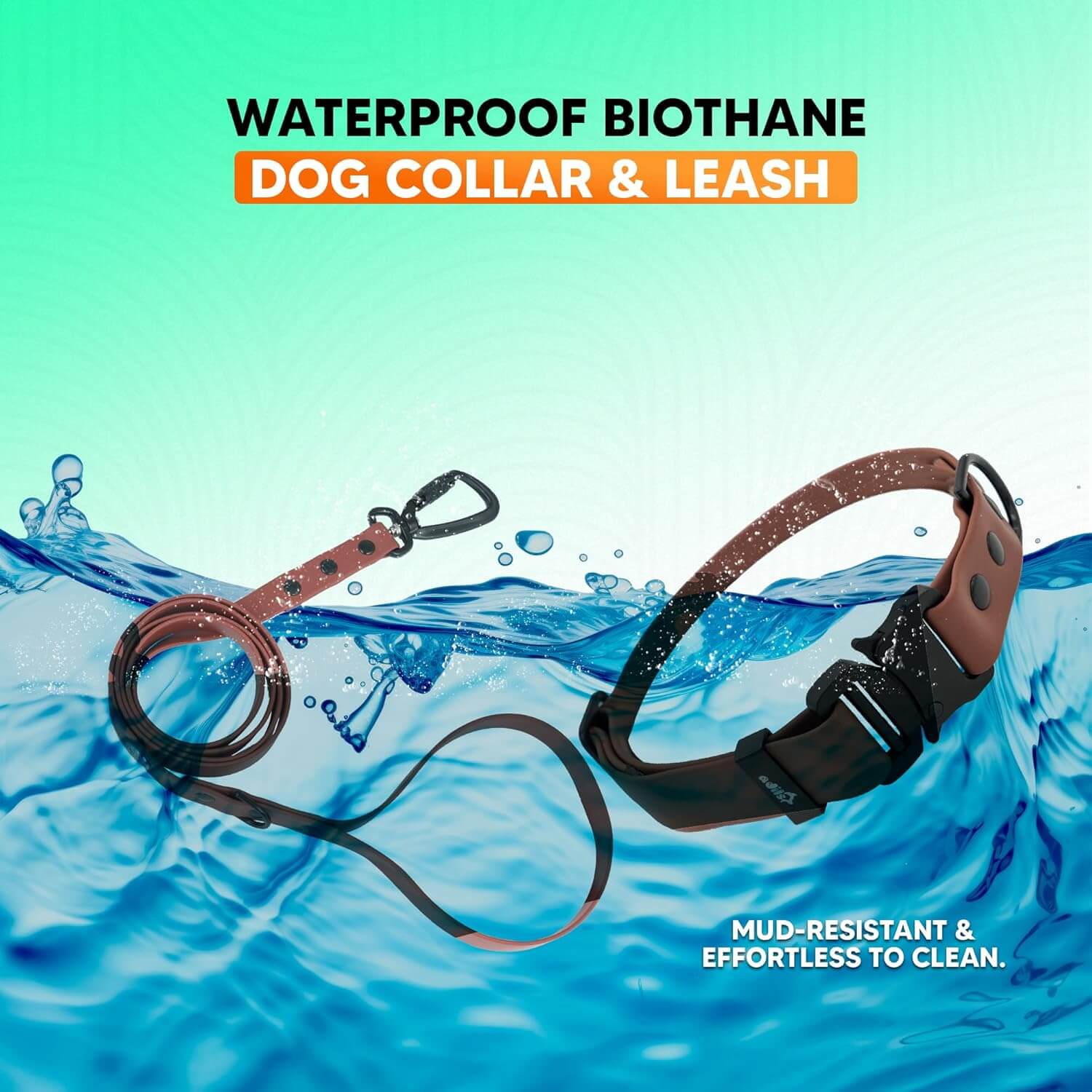 Biothane Combo Dog Collar & Leash