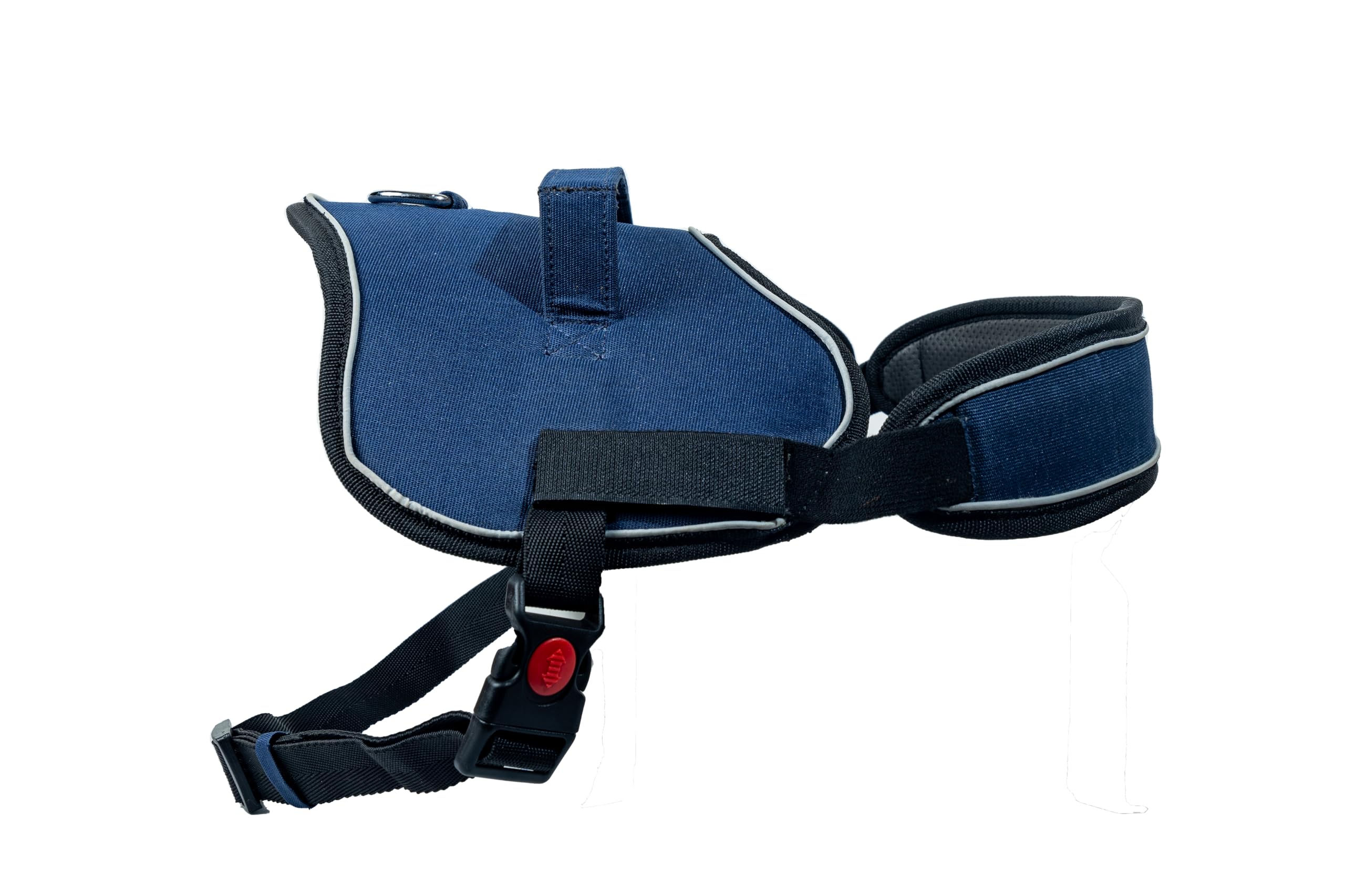 Adil’S No Pull Reflective Dog Harness – Adjustable Soft Dog Harness Set for Small Medium & Large Dogs for Outdoor Activity. (Blue, S)
