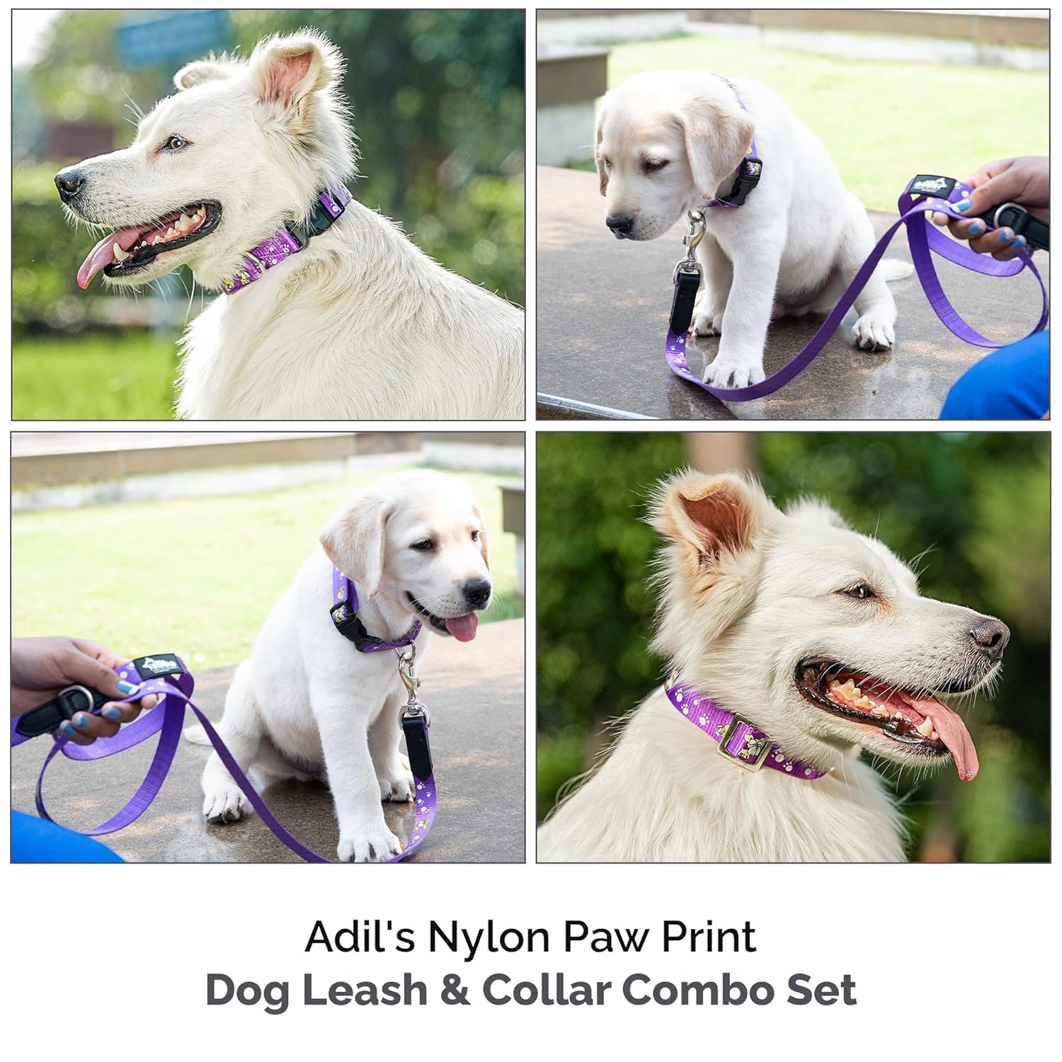 Adil's Nylon Paw Print Dog Collar & Leash Combo Set Quick Release Buckle 360° Swivel Hook Leather Accents 0.75 Inch Collar 5Ft Lead Walking Training for Small Medium Pets