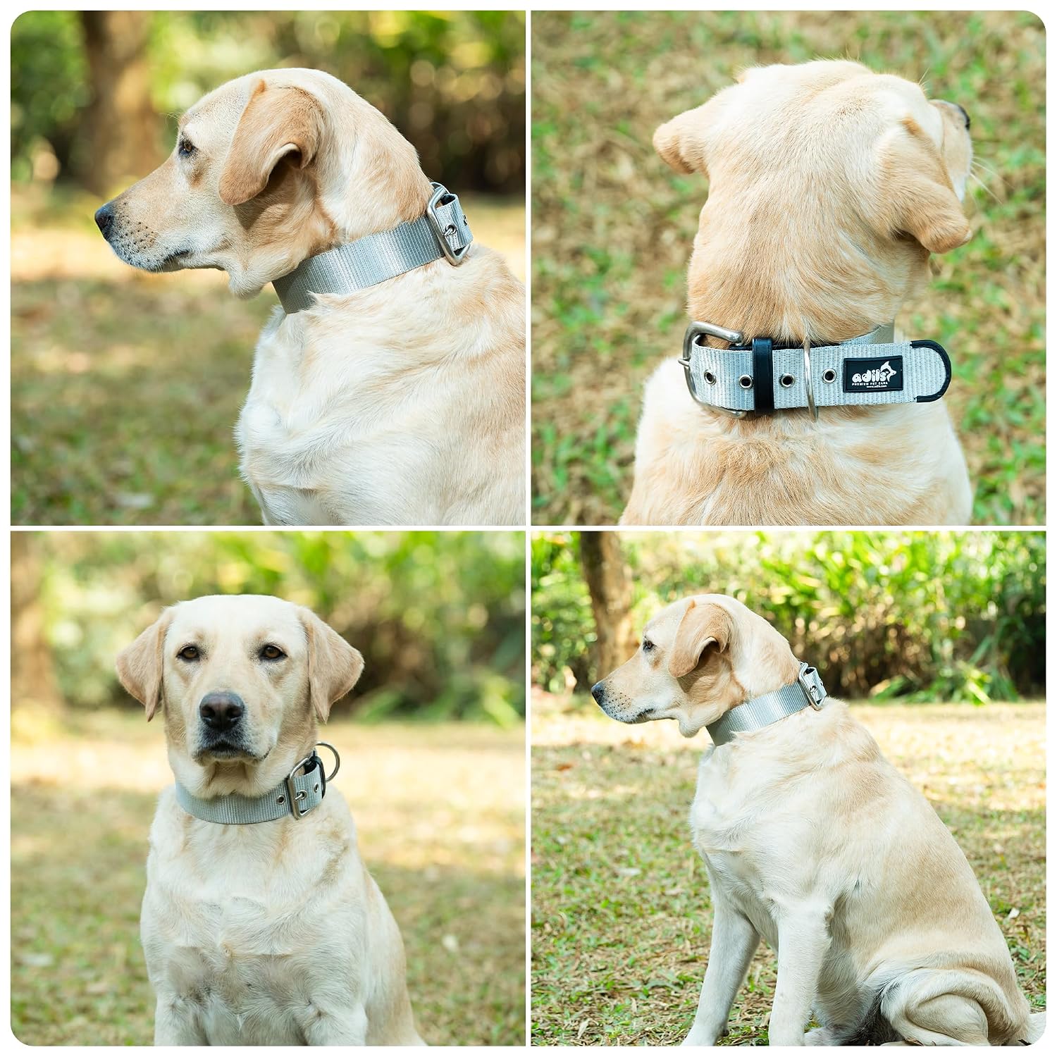 ADIL's Nylon Dog Collar – 1.5 Inch Wide Heavy-Duty Neckbelt with Metal Buckle D-Ring, Adjustable Safety Strap Small Medium Large Pets for Outdoor Walking Training