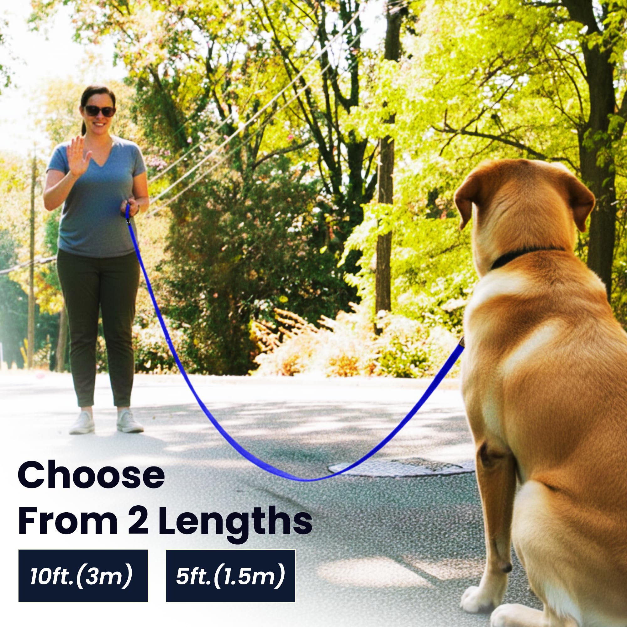 Adil’s 10FT Adjustable Dog Leash Features a Soft Leather Handle, Strong Nylon, and a 360° Swivel Hook—Durable, Comfy, and Ideal for Small to Large Dogs.