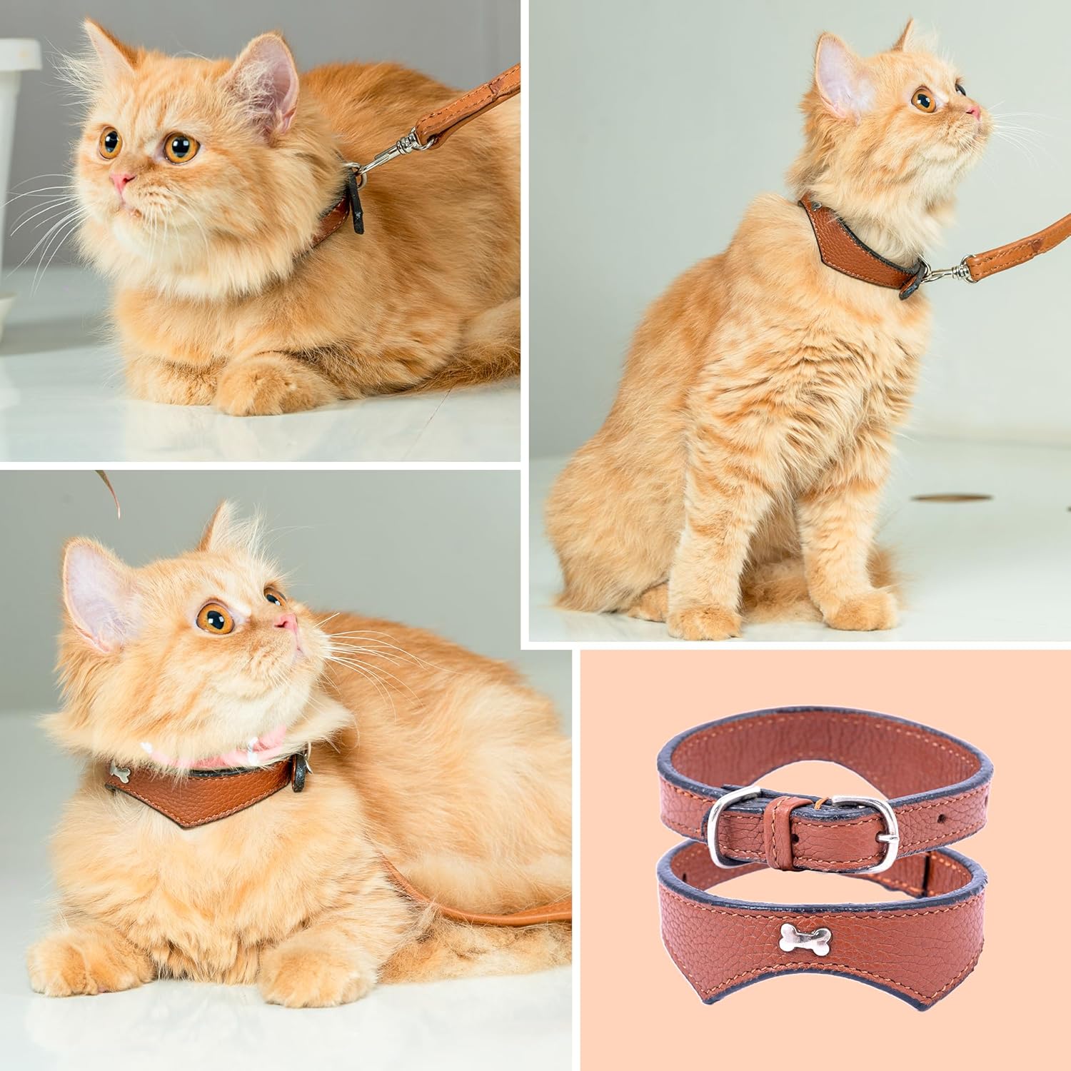 Adil’S Leather Cat Collar - Stylish Single Bone Studded Design, Breakaway Soft pet Collar, Adjustable Metal Buckle with Strong D-Ring for Leash attachments for Outdoor Adventures (Black)