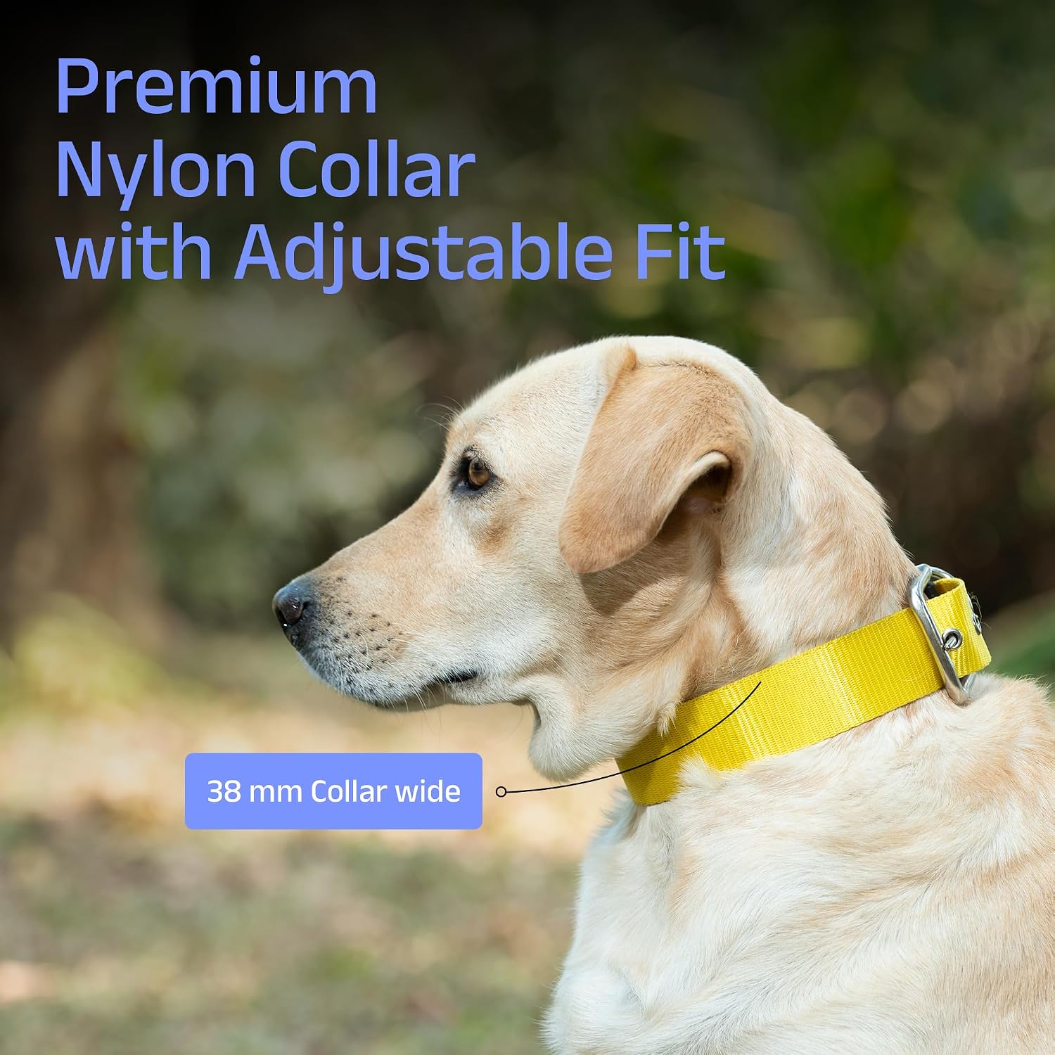 ADIL's Nylon Dog Collar – 1.5 Inch Wide Heavy-Duty Neckbelt with Metal Buckle D-Ring, Adjustable Safety Strap Small Medium Large Pets for Outdoor Walking Training