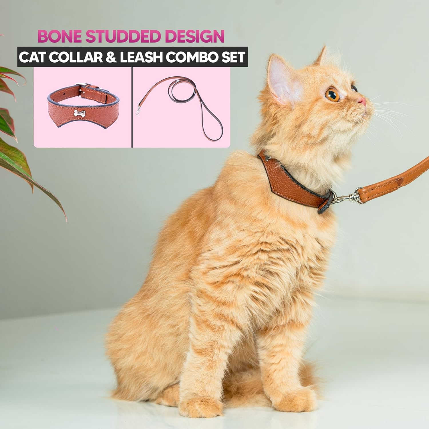 Adil’S Leather Cat Collar & Leash Set Combo - Stylish Single Bone Studded Design Collar, Genuine Leather, Adjustable Buckle & Secure 5ft Leash for Outdoor Activity (Brown)