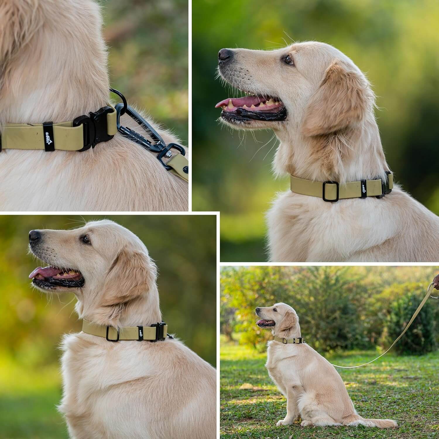 Biothane Combo Dog Collar & Leash