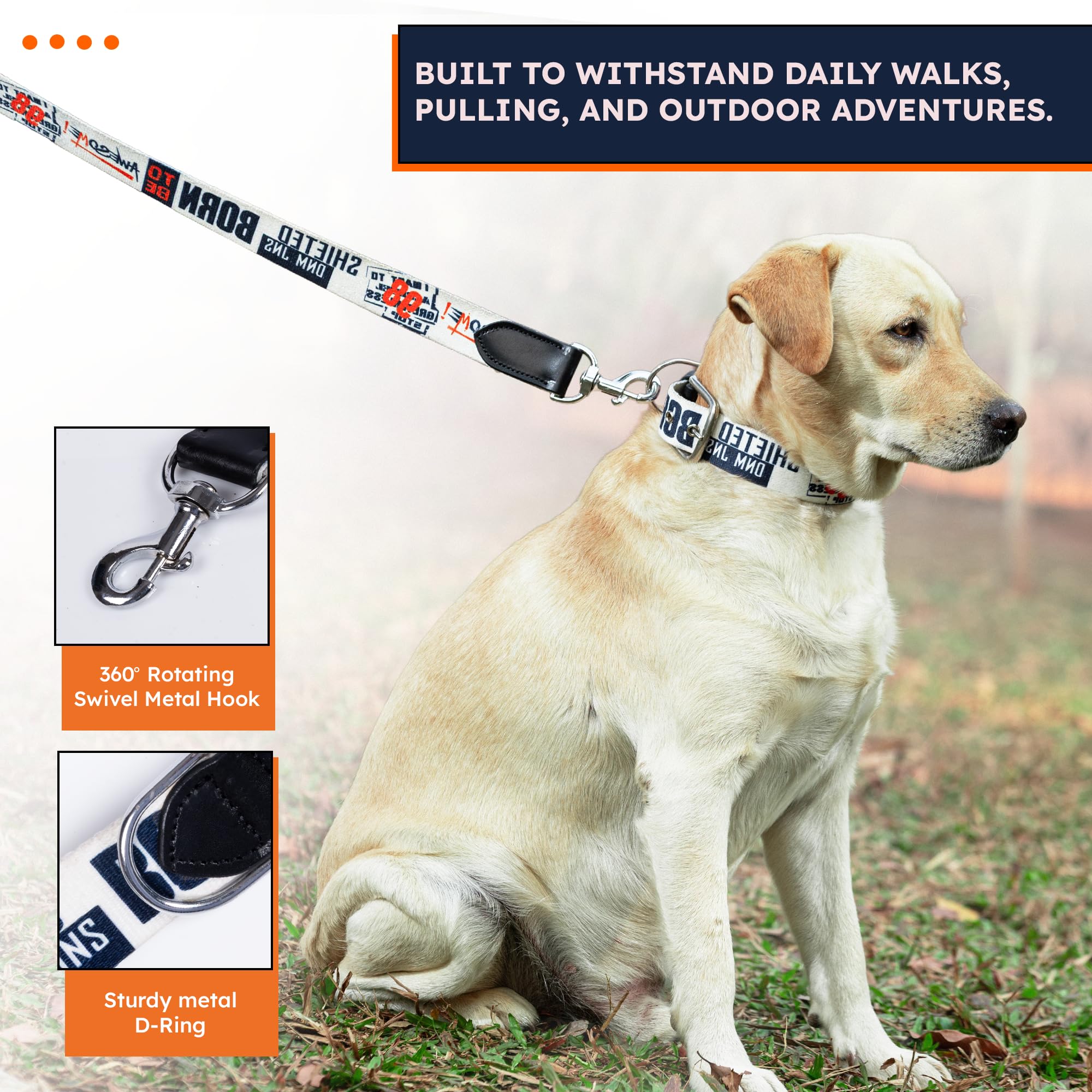 ADIL's Handcrafted Cotton Dog Leash – Premium Graffiti Printed Webbing Pet Walking Lead with Soft Loop Handle 360° Chrome Swivel Hook Strong Metallic D-Ring for Small Medium Large Dogs, 5ft