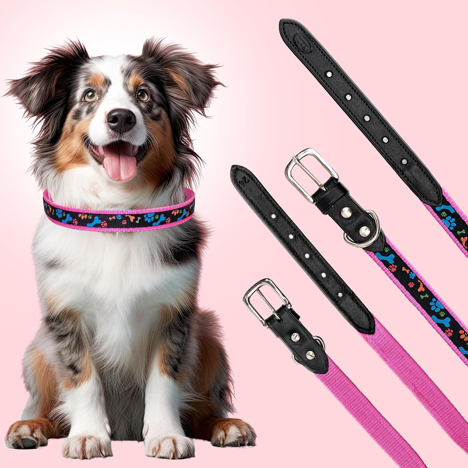Adil’S Paw Print Nylon Dog Collar, Adjustable Metal Buckle with D-Ring Width: 1 inch for Small, Medium & Large Dogs, Pet Collar for All Breeds