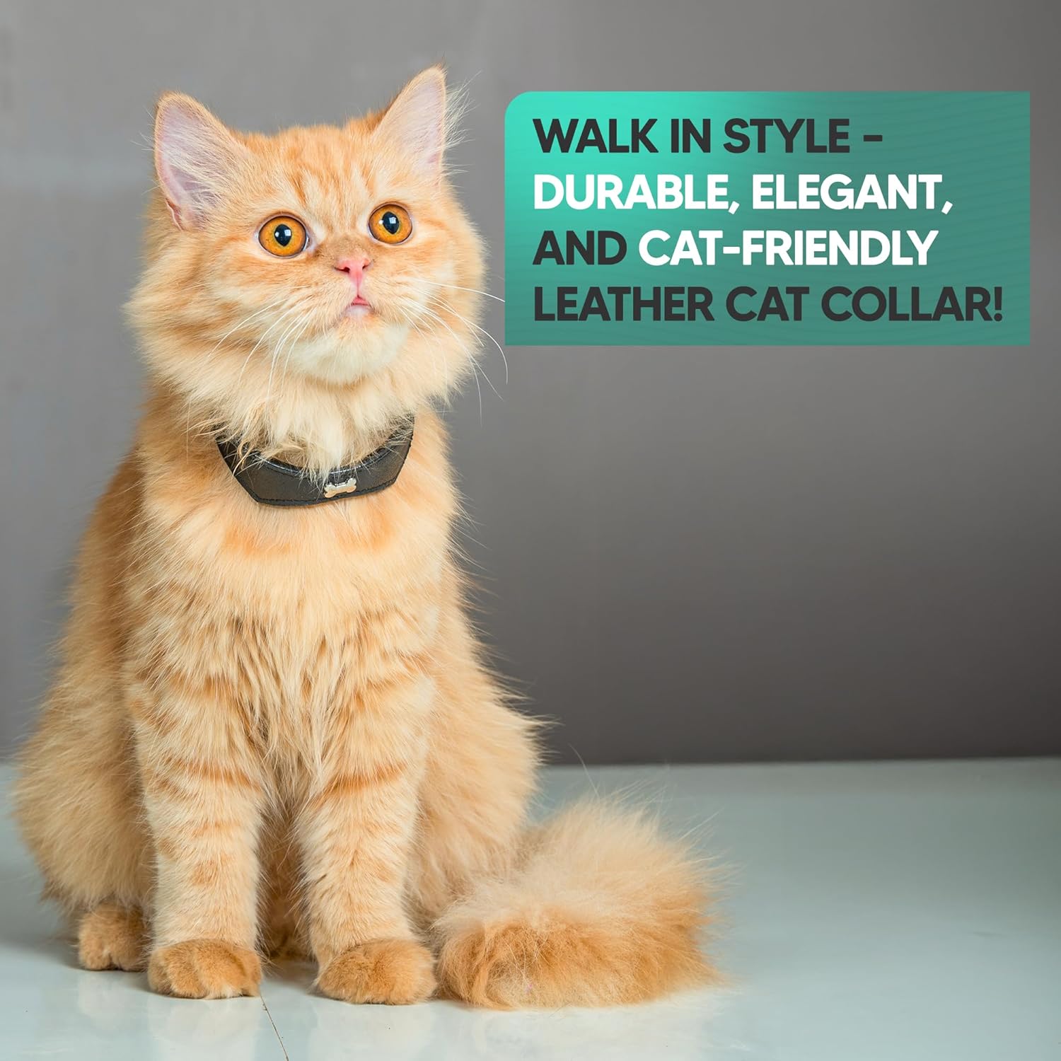 Adil’S Leather Cat Collar - Stylish Single Bone Studded Design, Breakaway Soft pet Collar, Adjustable Metal Buckle with Strong D-Ring for Leash attachments for Outdoor Adventures (Black)