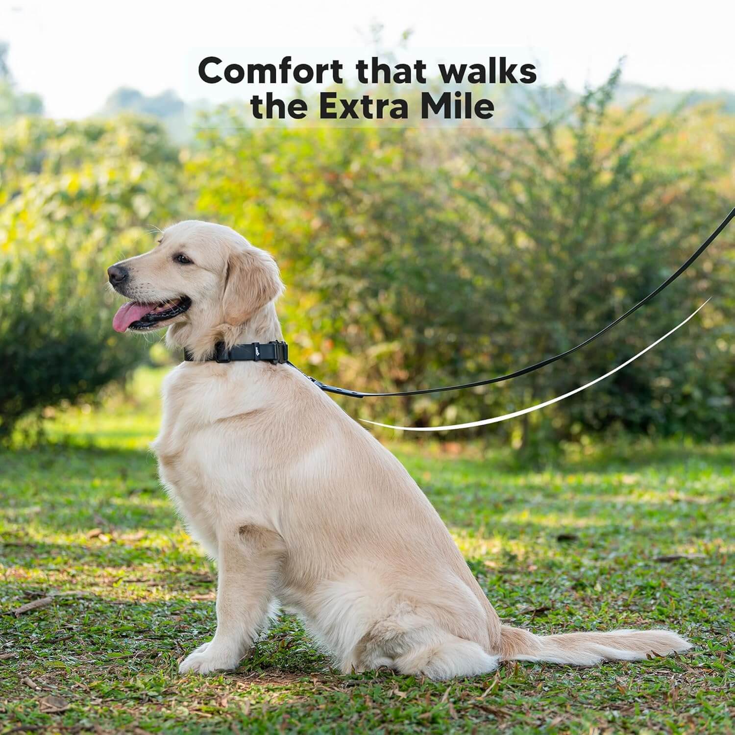 Adil’s Biothane Dog Leash - Waterproof Leashes for Dogs, Metal Hook, Adjustable 5ft Length Suitable for Dogs & Puppies, Ideal for Walking, Running & Training