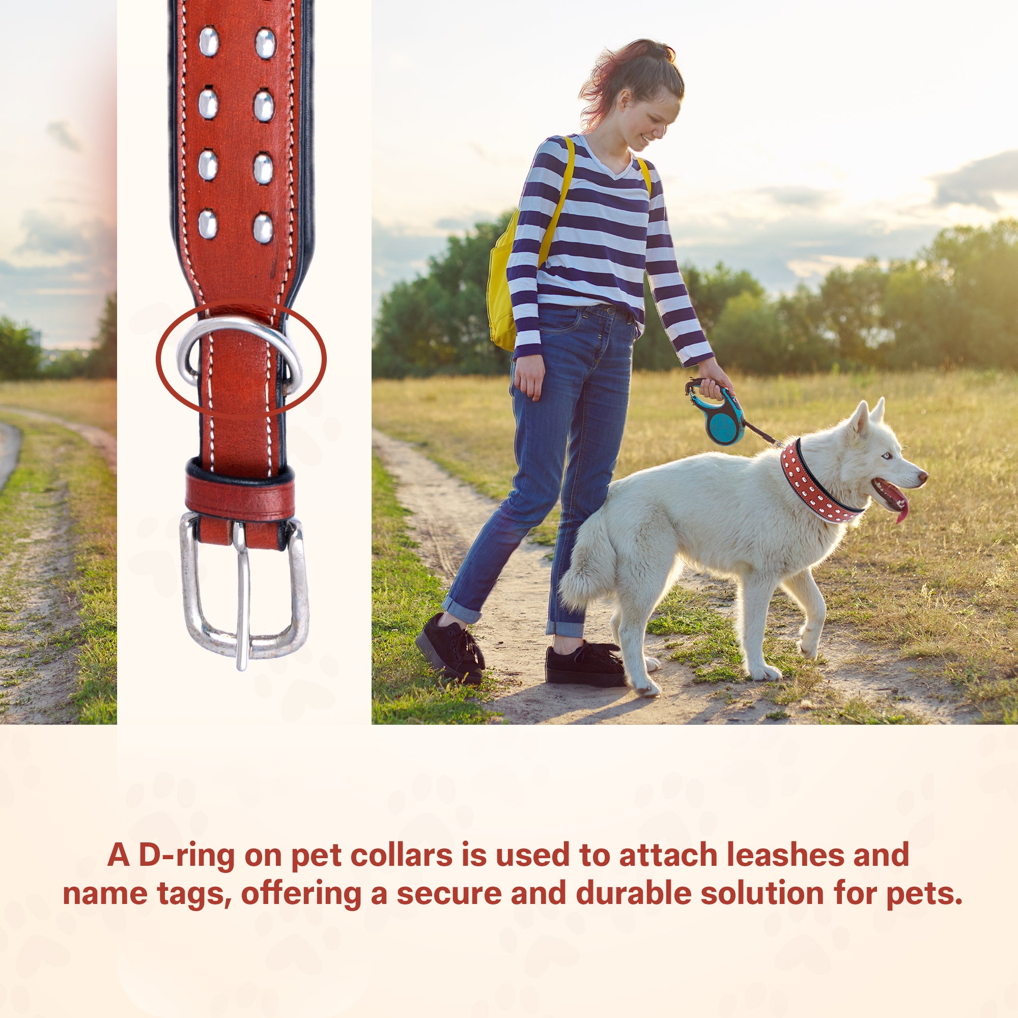 ADIL'S Studded Genuine Leather Dog Collar – Heavy-Duty, Padded, Adjustable 1.5" Width Dog Belt with D-Ring & Metal Buckle for Medium & Large Dogs