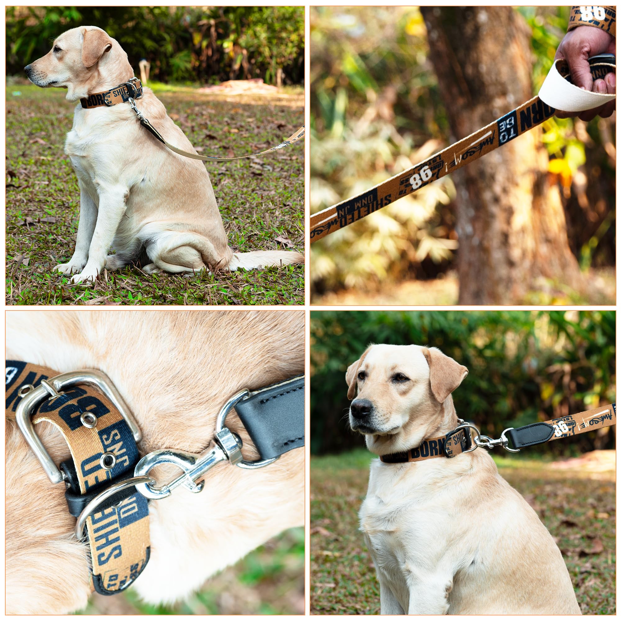 ADIL's Handcrafted Cotton Dog Leash – Premium Graffiti Printed Webbing Pet Walking Lead with Soft Loop Handle 360° Chrome Swivel Hook Strong Metallic D-Ring for Small Medium Large Dogs, 5ft