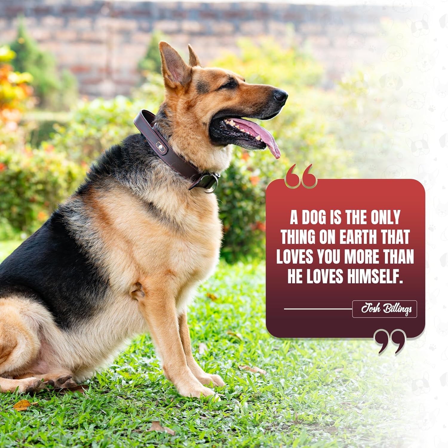 Adil’S Dog Genuine Leather Dog Collar with Strap Handle for Medium & Large Dogs, Adjustable Heavy Duty Handle Dog Collar with Double pin Buckle, Neck Size (12 to 26) inches, Brown