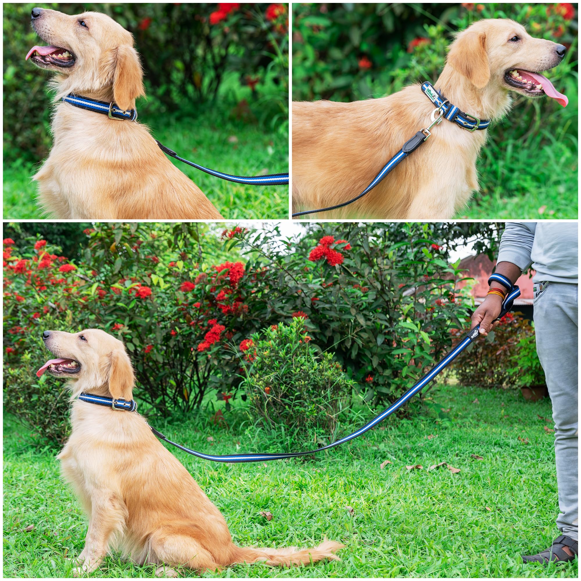 Adil’s Multi Color Cotton Dog Leash – Durable High-Density Cotton with Metal Clasp, 5 Ft Leash for Small, Medium & Large Dogs – Comfortable & Strong Pet Walking Leash