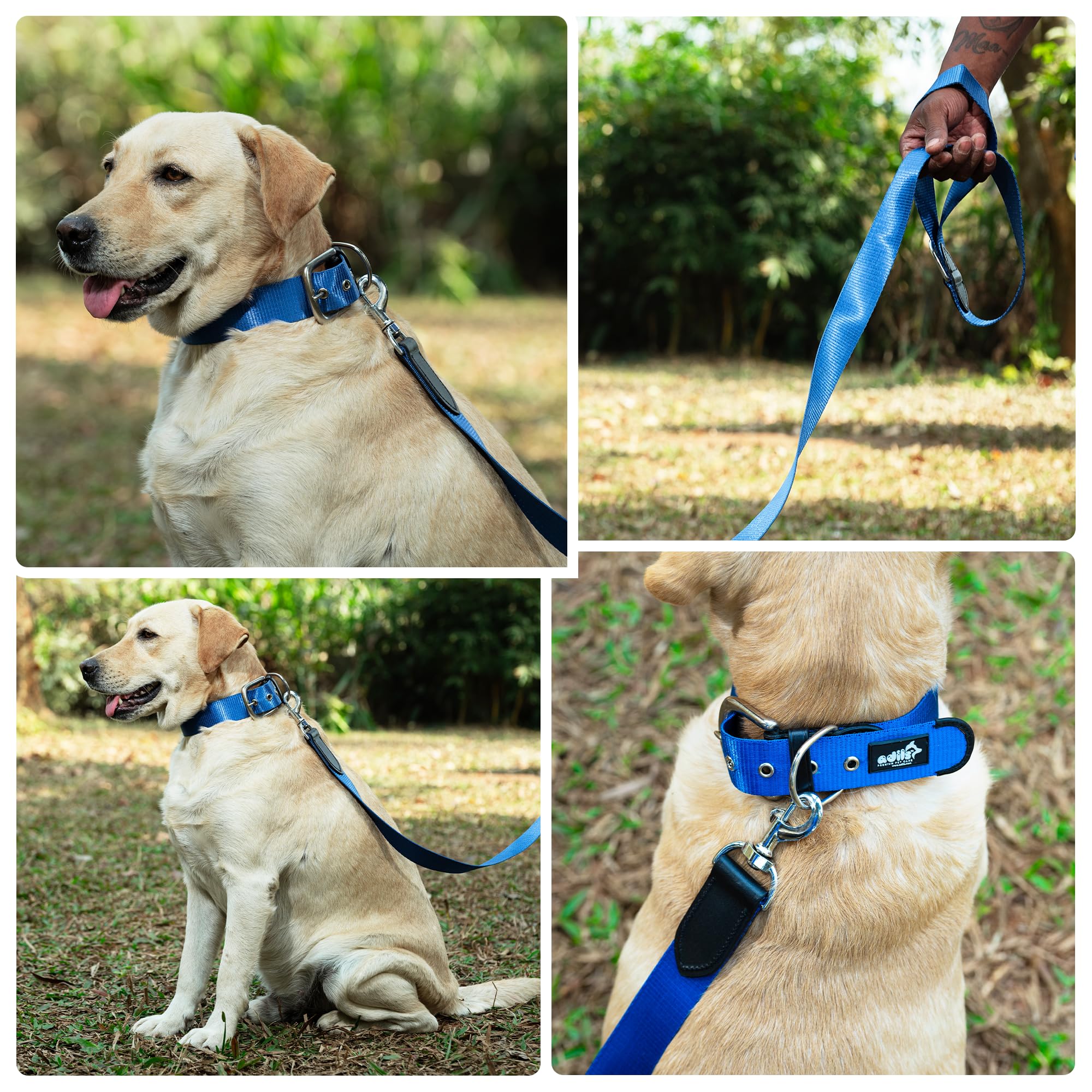 ADIL's Nylon Dog Leash, Heavy Duty Walking Lead with 360° Swivel Metal Hook 1.5 Inch Wide Durable Training Cord with Comfortable Loop Handle for Medium Large Dogs