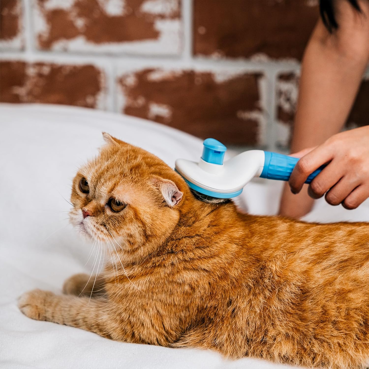 ADIL Self-Cleaning Brush for Dogs, Cats & Bunnies - Pet Grooming Brush