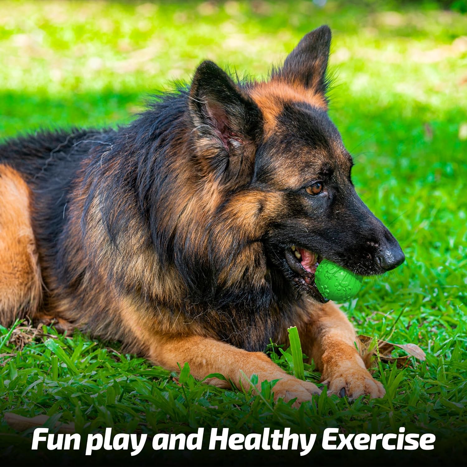 ADIL'S Natural Latex Dog Chews Ball Toy for Small to Medium Dogs & Puppies