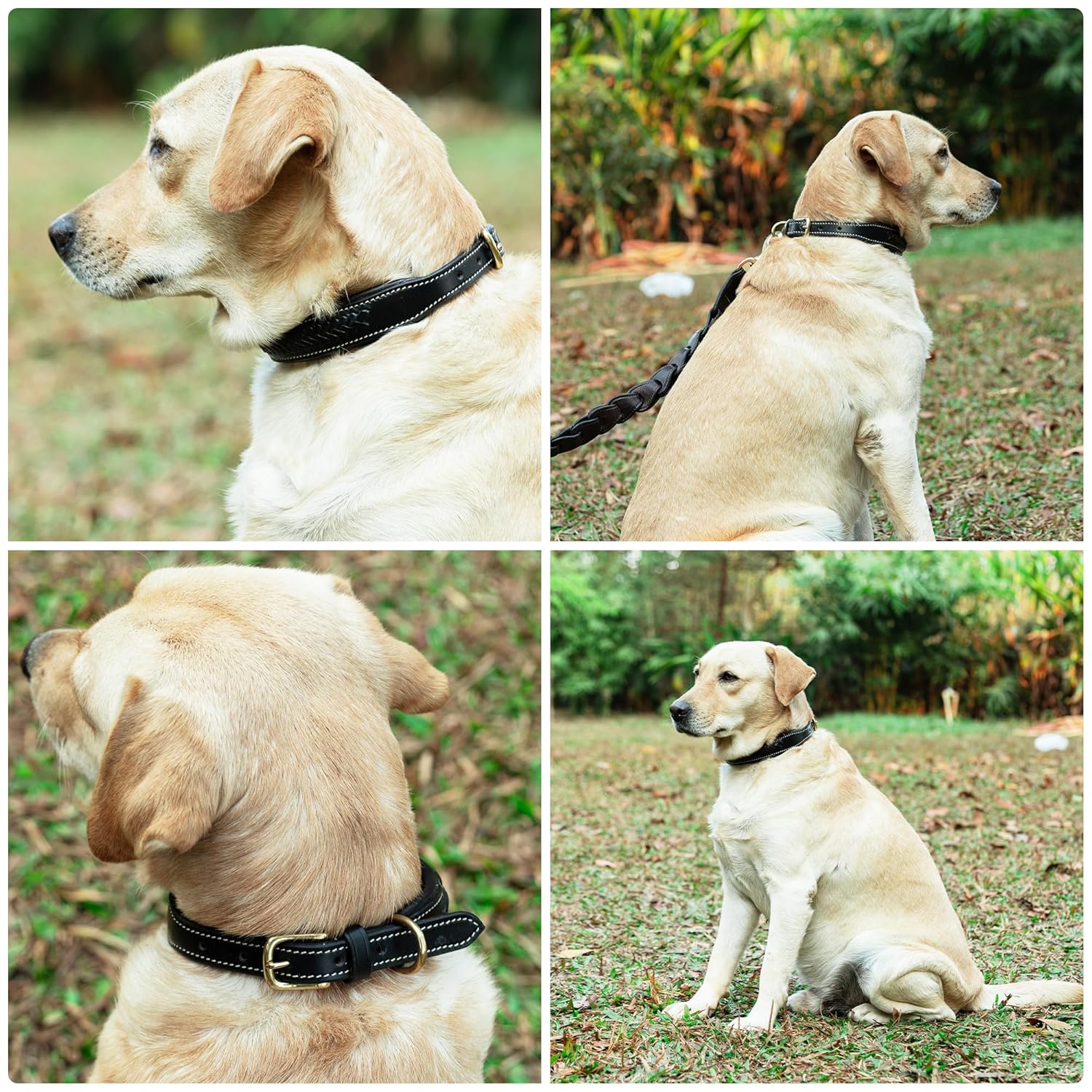 ADIL'S Handcrafted Leather Dog Collar – Basket Weave Braided Design Neckbelt with Brass Buckle & D-Ring for Small Medium Large Dogs, Black 1 Inch