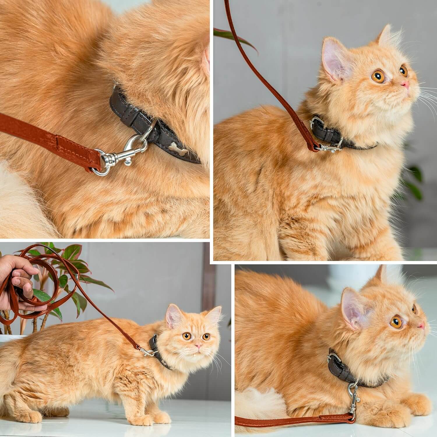 Adil’S Leather Cat Leash – Durable, Stylish & Comfortable Genuine Leather 4ft Long Leash with Secure Trigger Snap Hook for Safe Walks and Outdoor Adventures