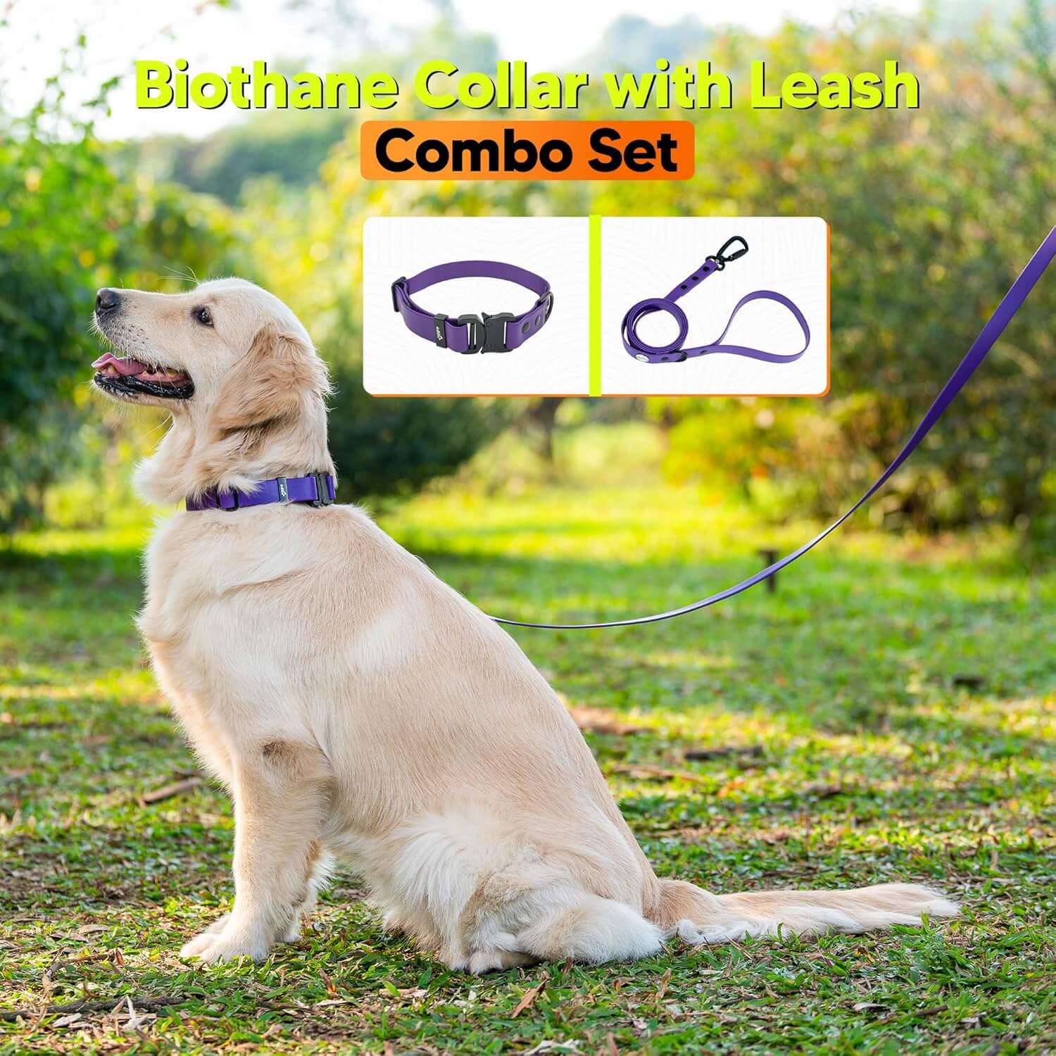 Biothane Combo Dog Collar & Leash