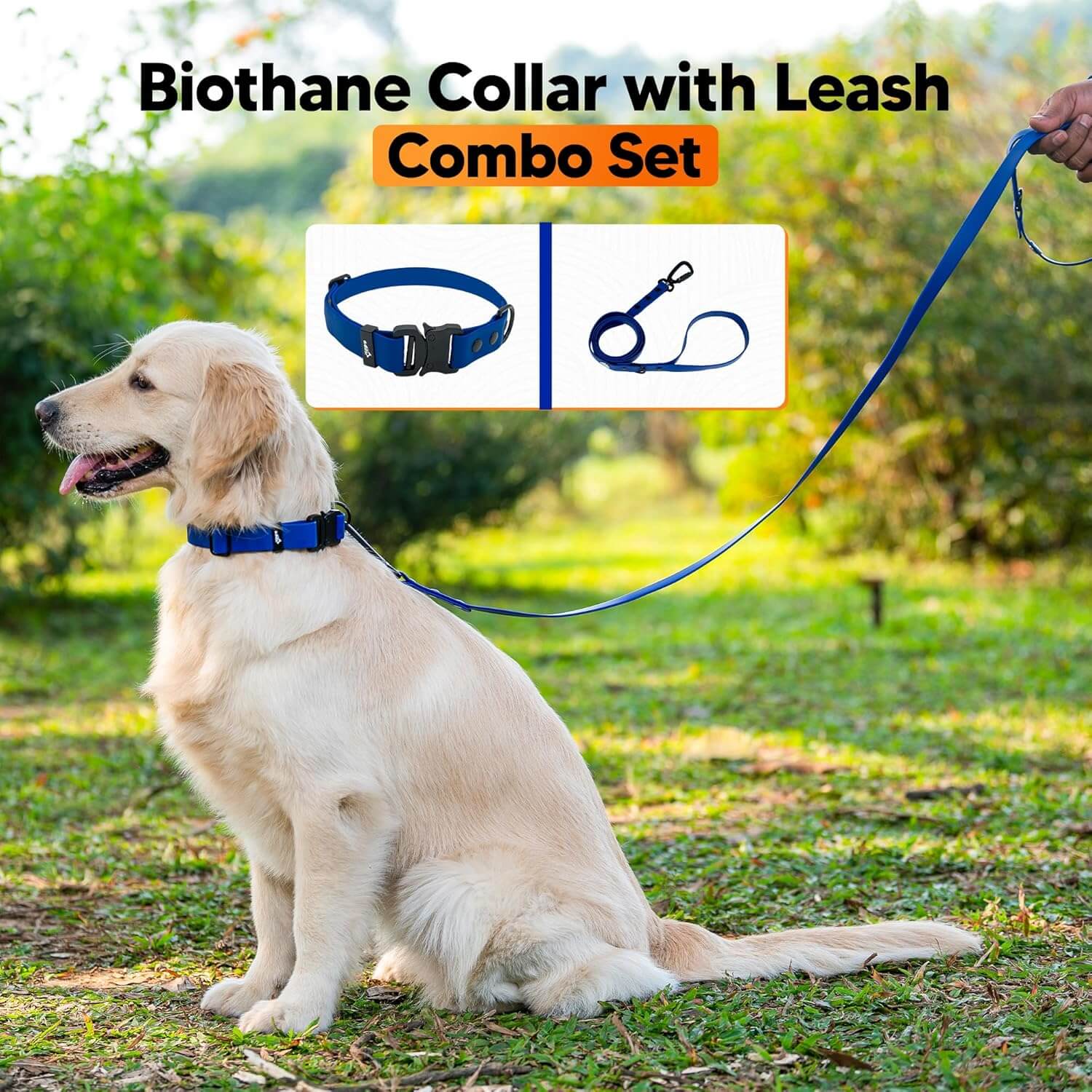 Biothane Combo Dog Collar & Leash