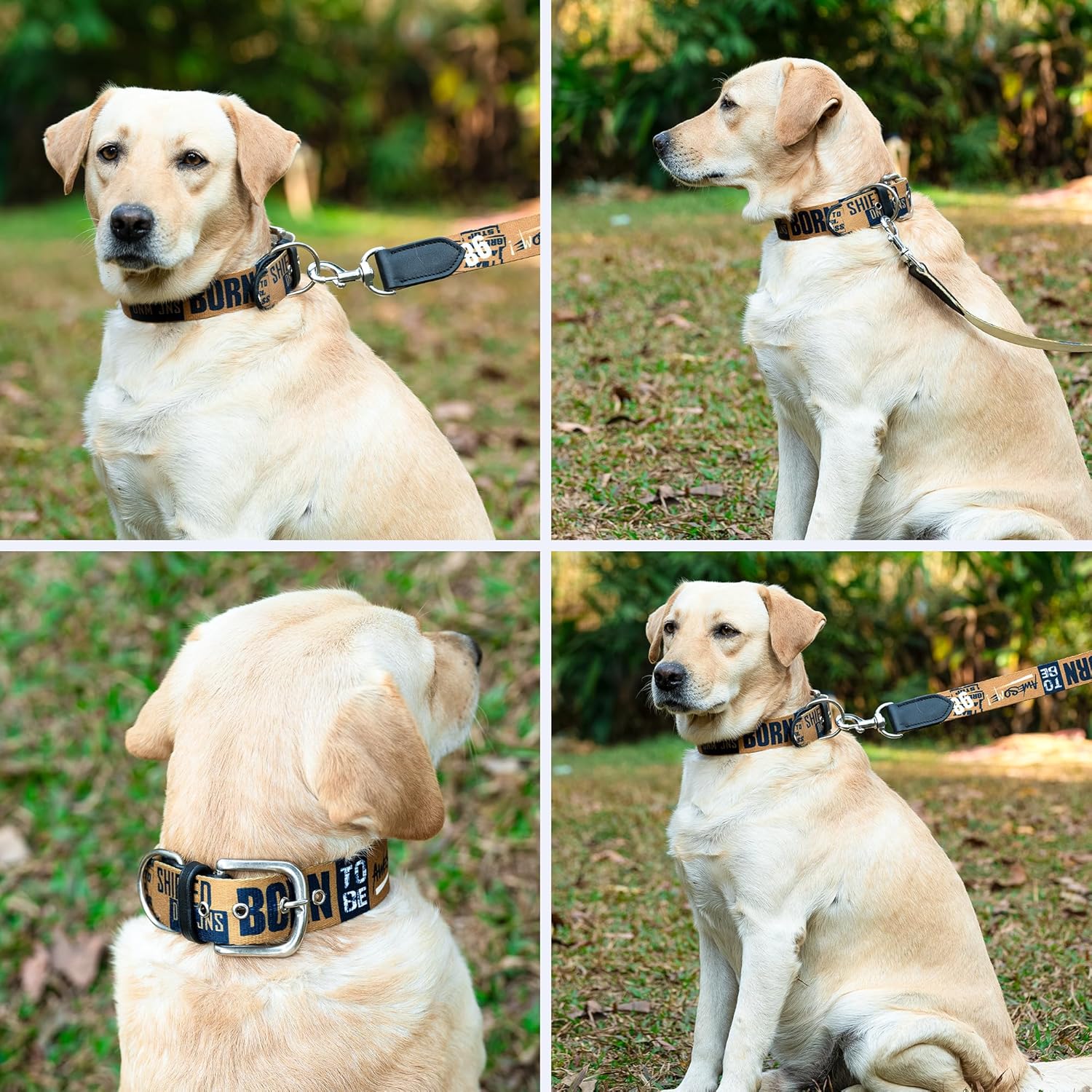 ADIL's Handcrafted Cotton Dog Collar – Premium Graffiti Printed Webbing Neckbelt with Heavy-Duty Metal Buckle & Strong D-Ring Adjustable Neckband for Small Medium Large Dogs