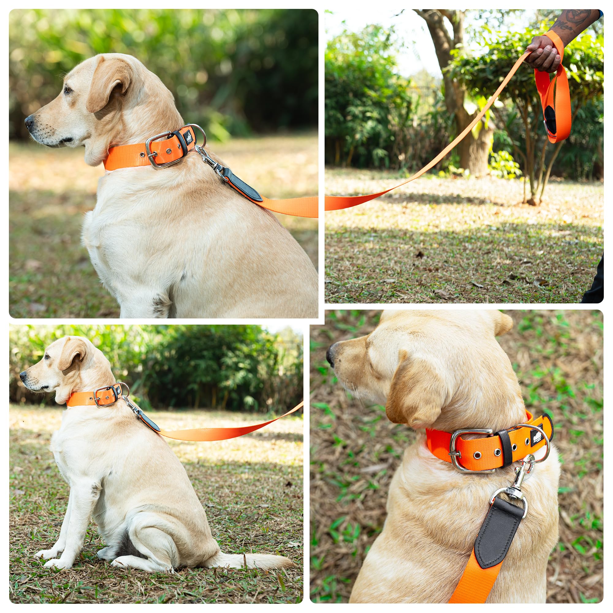 ADIL's Nylon Dog Leash, Heavy Duty Walking Lead with 360° Swivel Metal Hook 1.5 Inch Wide Durable Training Cord with Comfortable Loop Handle for Medium Large Dogs