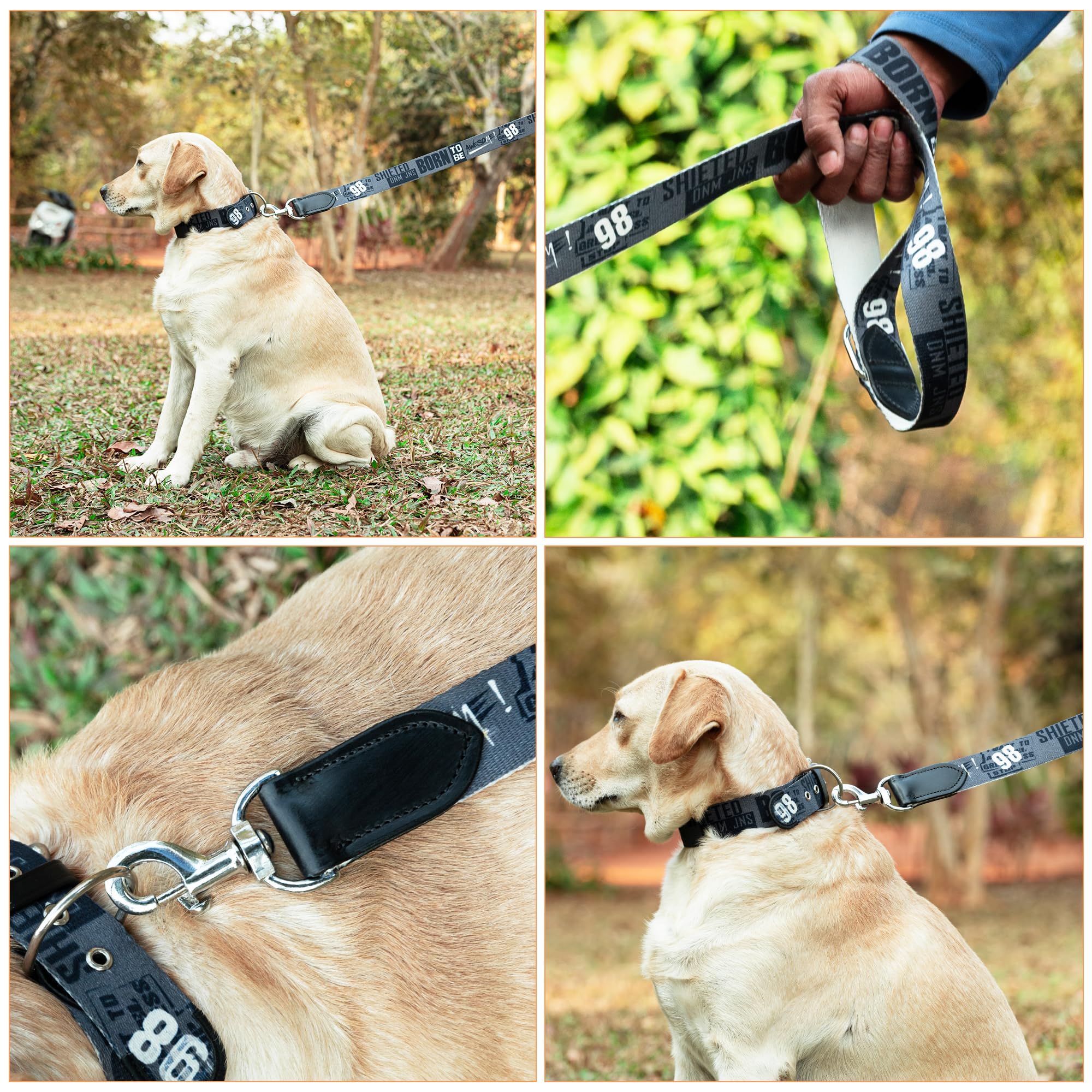 ADIL's Handcrafted Cotton Dog Leash – Premium Graffiti Printed Webbing Pet Walking Lead with Soft Loop Handle 360° Chrome Swivel Hook Strong Metallic D-Ring for Small Medium Large Dogs, 5ft