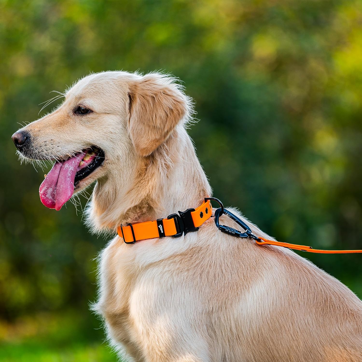 Adil’S Biothane Dog Collar - Waterproof Heavy Duty Dog Collars with Quick Release Buckle & D-Ring