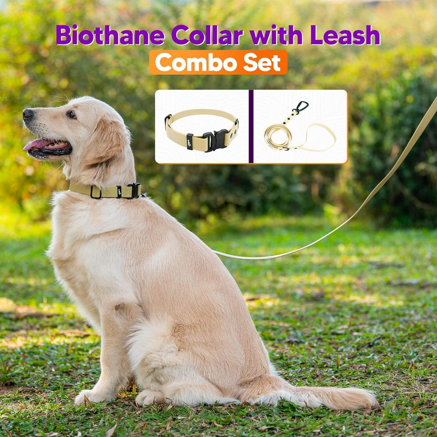 Biothane Combo Dog Collar & Leash