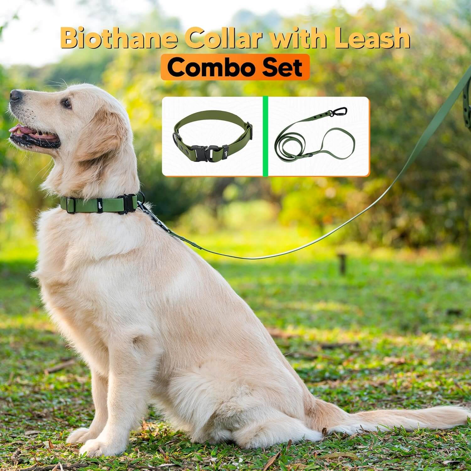 Biothane Combo Dog Collar & Leash