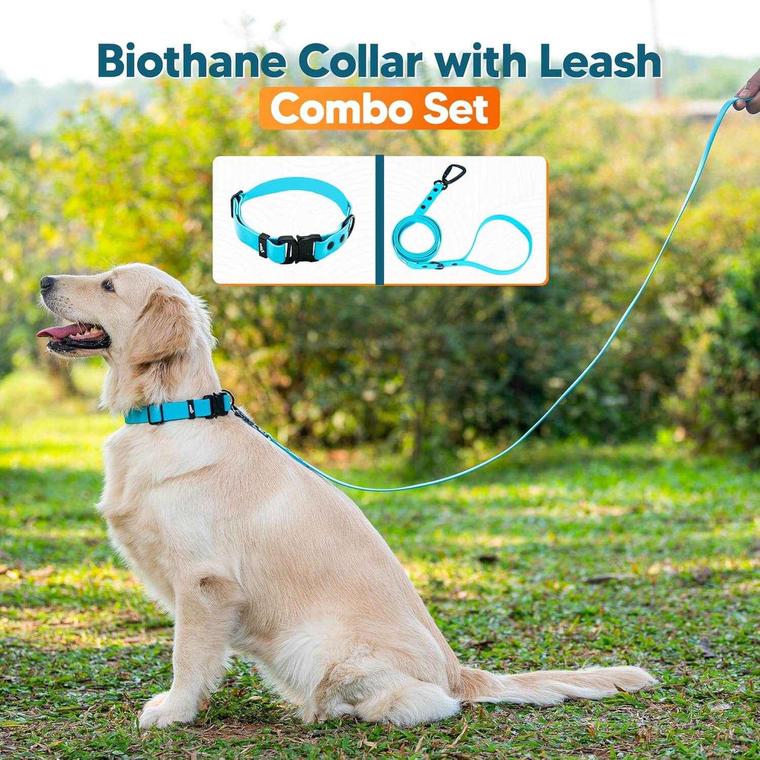 Biothane Combo Dog Collar & Leash