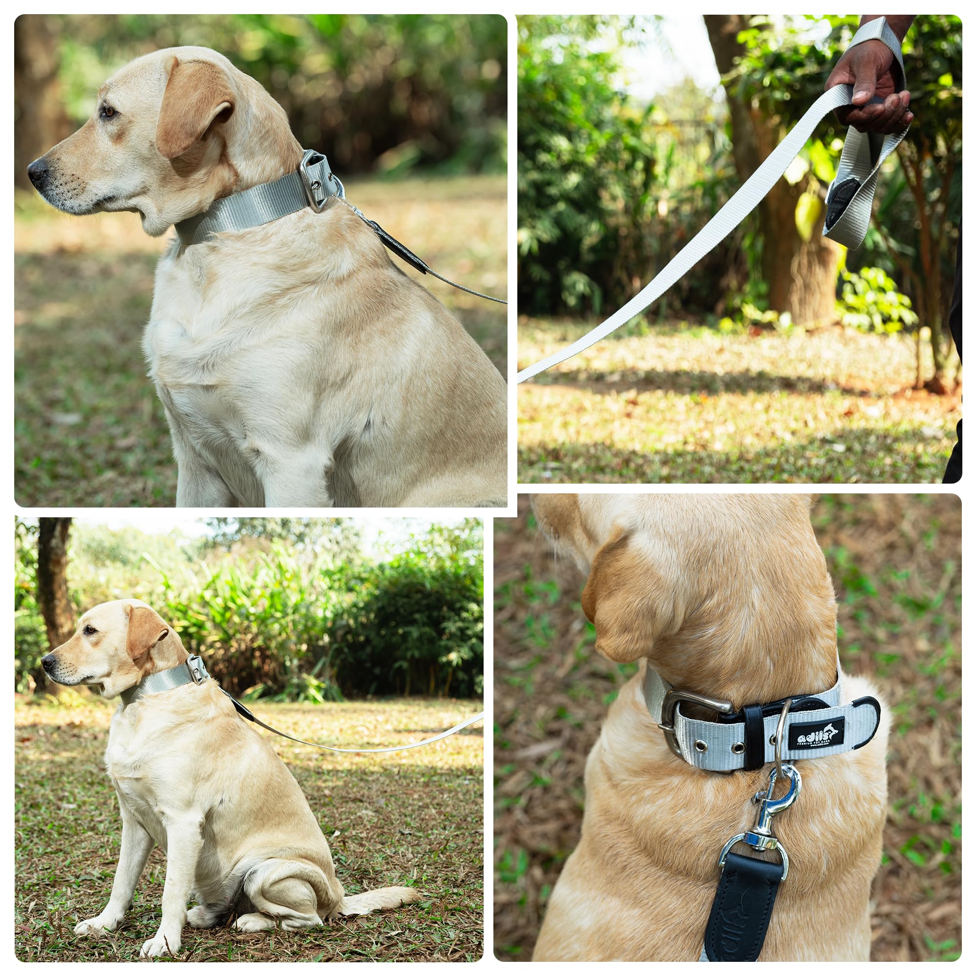 ADIL's Nylon Dog Leash, Heavy Duty Walking Lead with 360° Swivel Metal Hook 1.5 Inch Wide Durable Training Cord with Comfortable Loop Handle for Medium Large Dogs