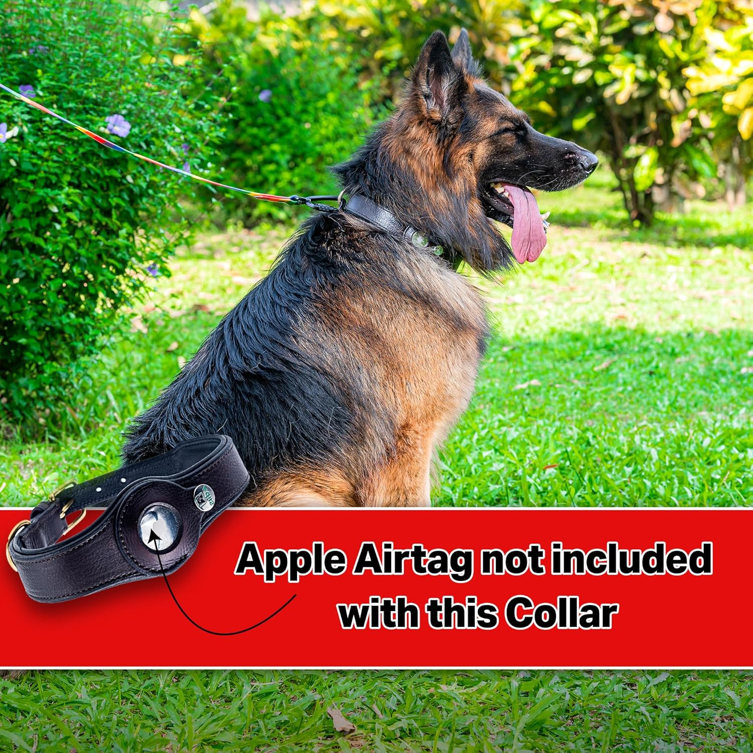Adil’s AirTag Dog Collar – Genuine Leather with Secure Apple AirTag Holder