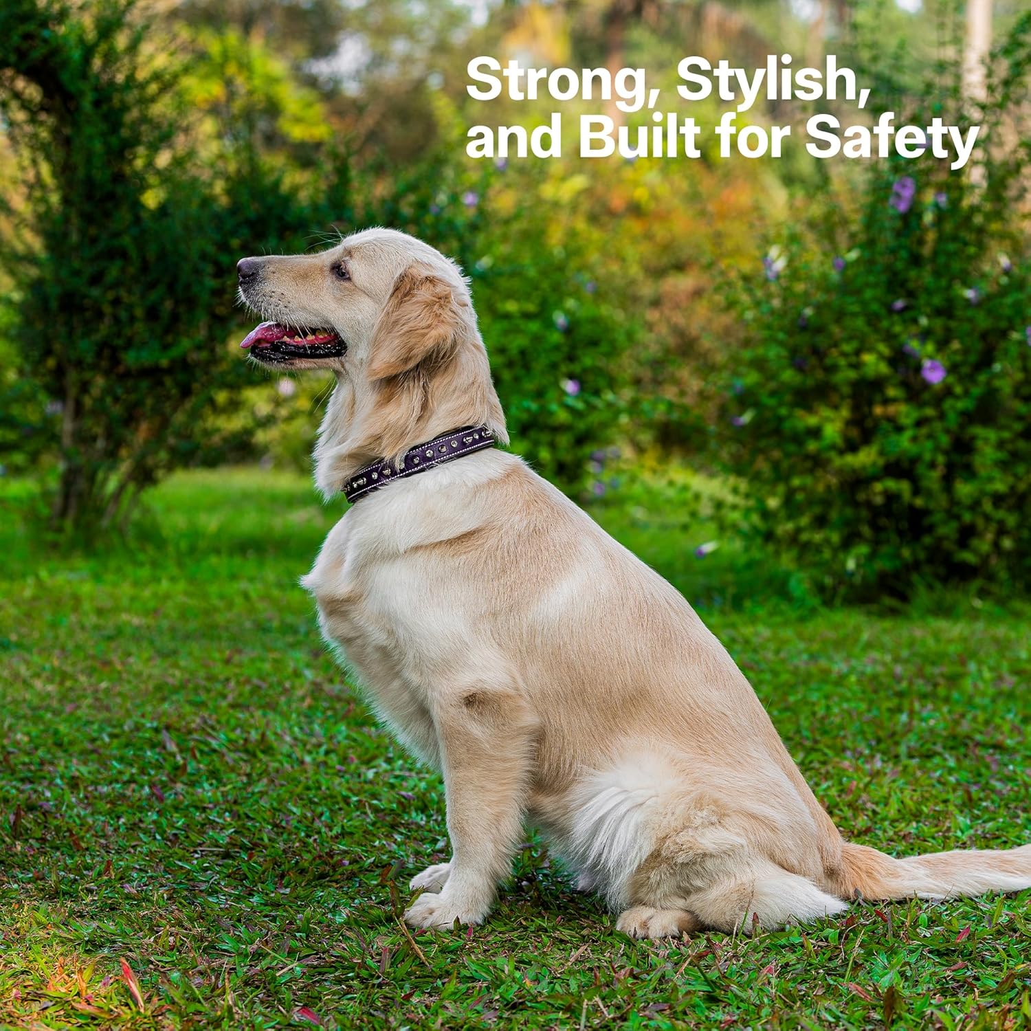 Adil’S Leather Spike Studded Dog Collar – Adjustable Pet Collar for Small, Medium, Large Dogs Durable & Stylish for Pitbulls, Bulldogs, Mastiffs & Guard Dogs