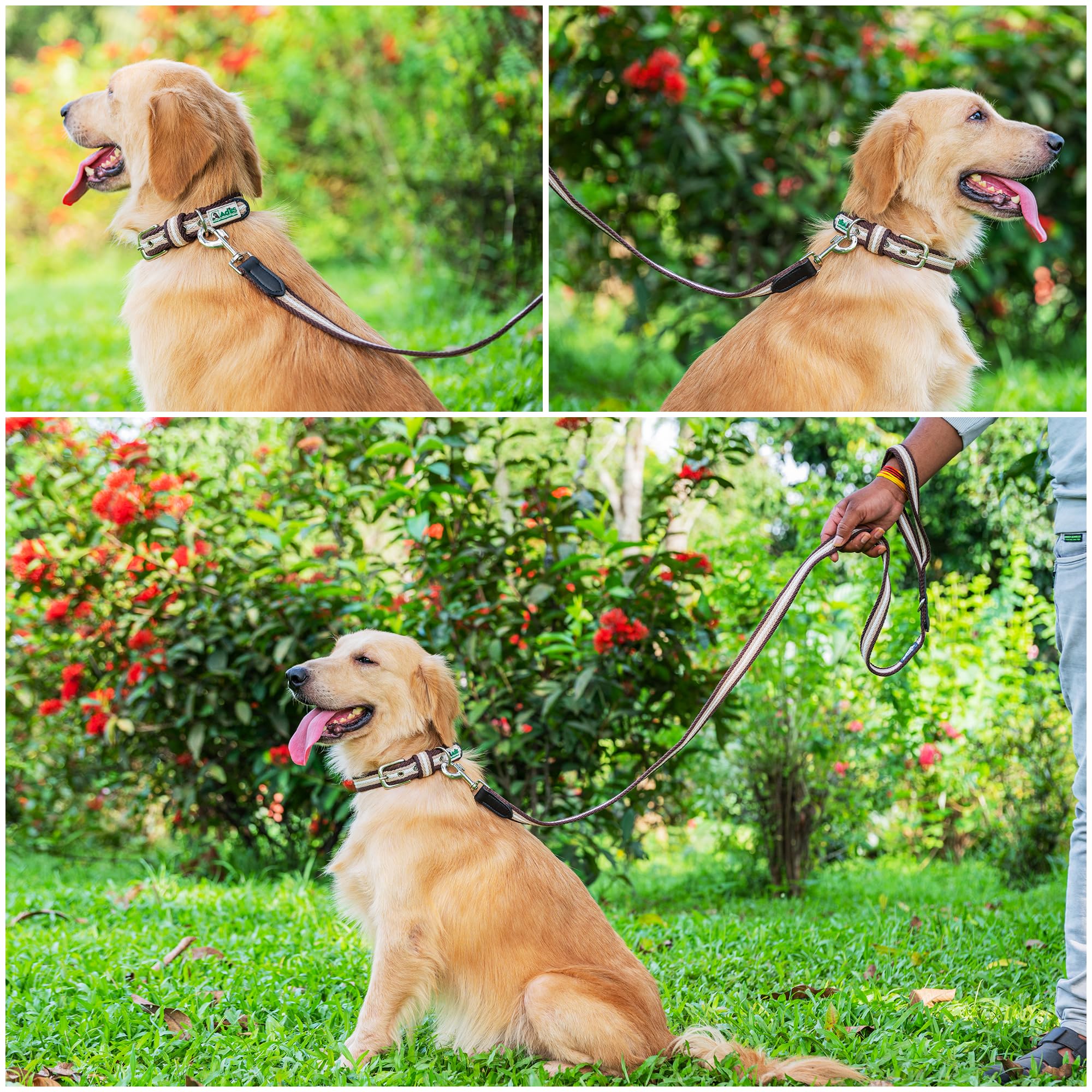 Adil’s Multi Color Cotton Dog Leash – Durable High-Density Cotton with Metal Clasp, 5 Ft Leash for Small, Medium & Large Dogs – Comfortable & Strong Pet Walking Leash