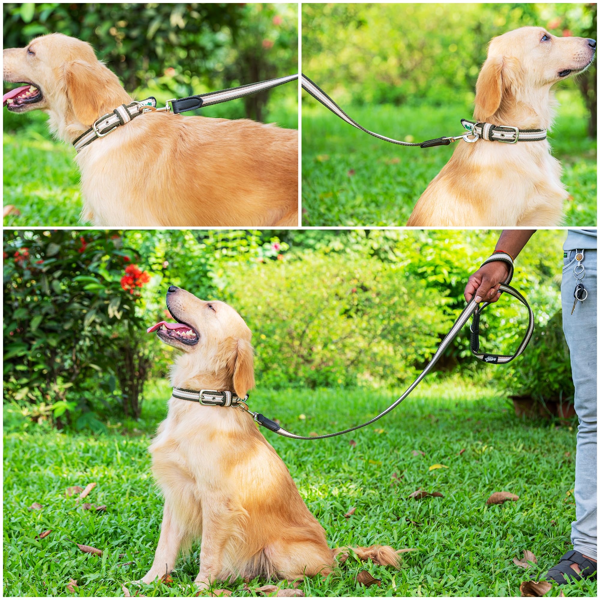 Adil’s Multi Color Cotton Dog Leash – Durable High-Density Cotton with Metal Clasp, 5 Ft Leash for Small, Medium & Large Dogs – Comfortable & Strong Pet Walking Leash