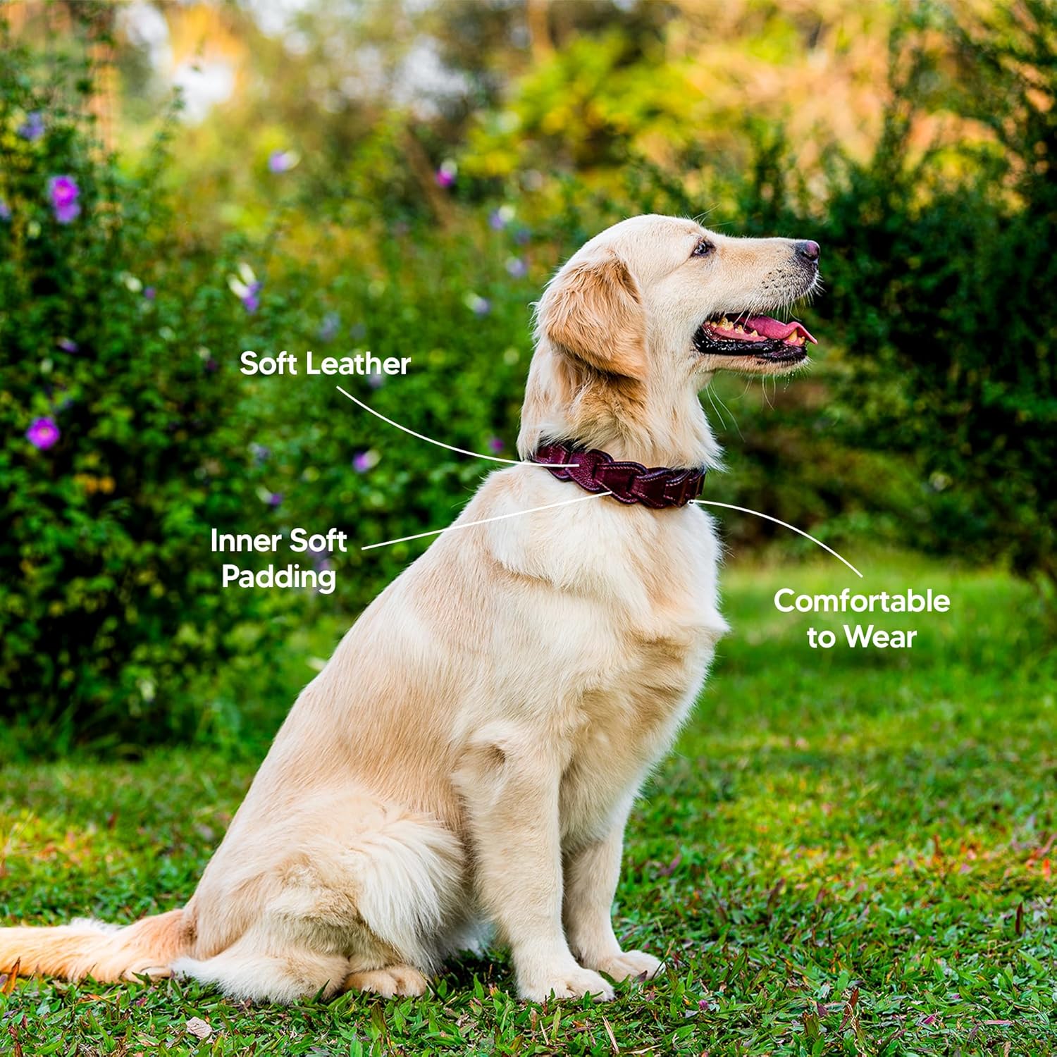 Adil’S Genuine Leather Loop Dog Collar – Handmade, Heavy-Duty, Soft Padded & Adjustable – Durable Braided Leather Collar Dogs