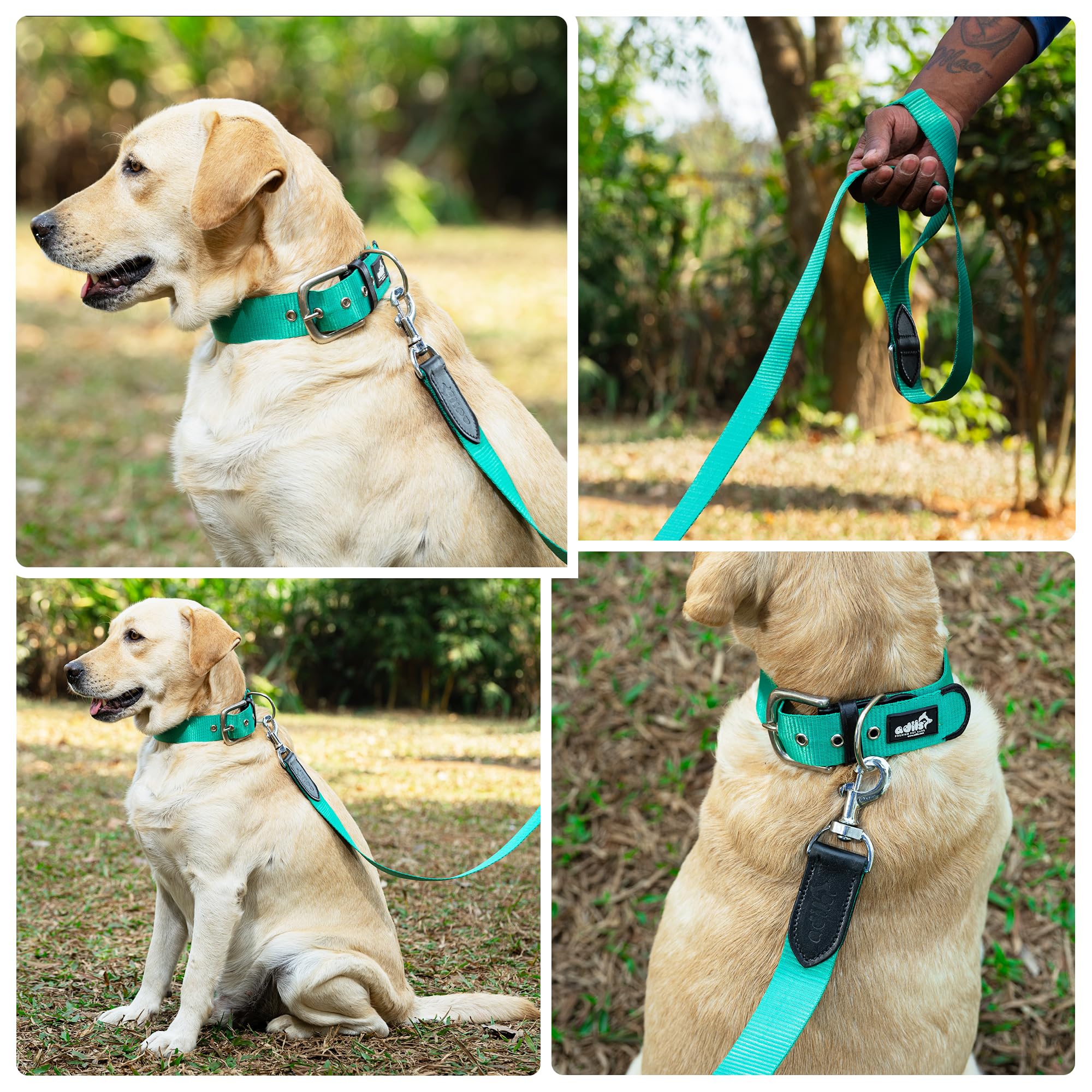 ADIL's Nylon Dog Leash, Heavy Duty Walking Lead with 360° Swivel Metal Hook 1.5 Inch Wide Durable Training Cord with Comfortable Loop Handle for Medium Large Dogs