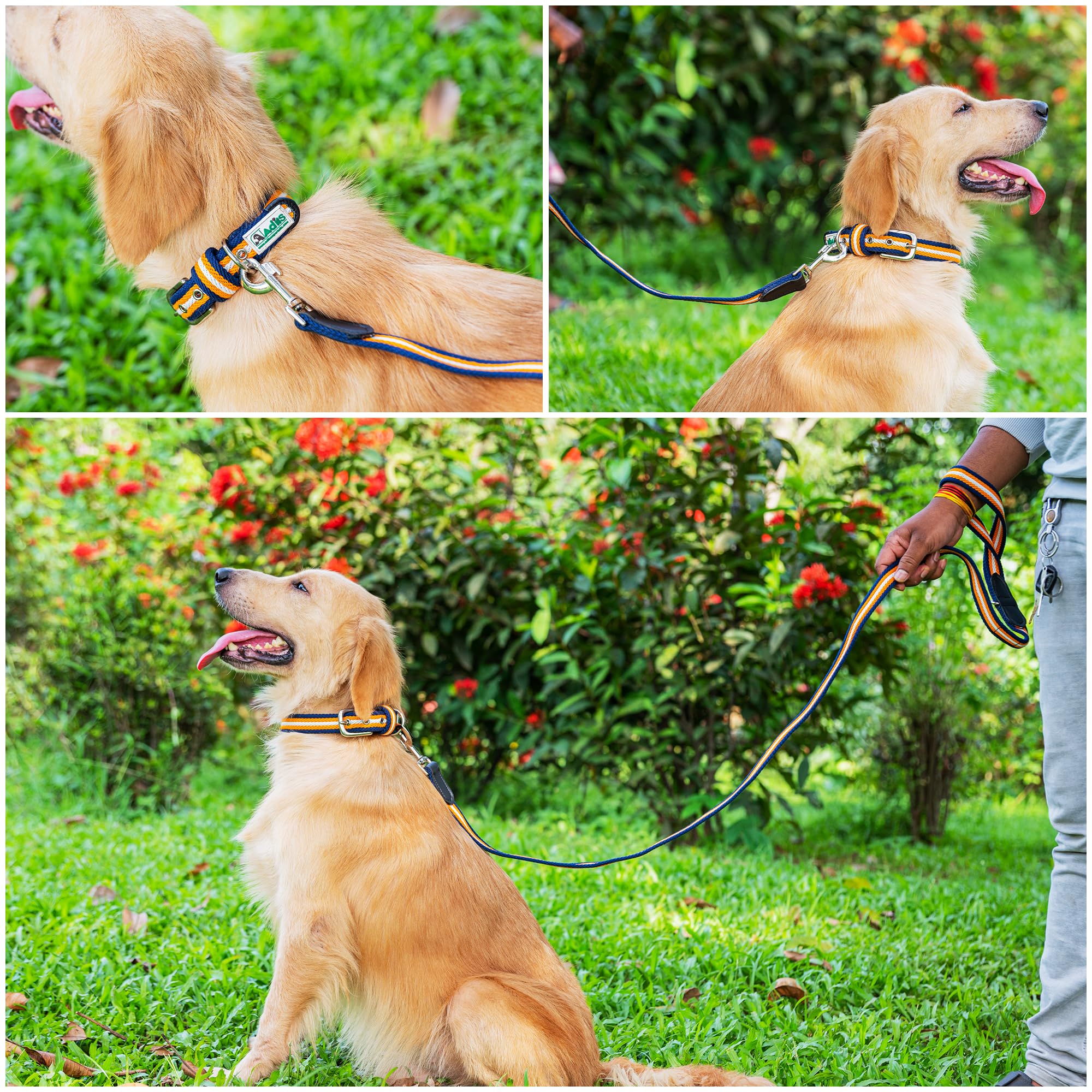 Adil’s Multi Color Cotton Dog Leash – Durable High-Density Cotton with Metal Clasp, 5 Ft Leash for Small, Medium & Large Dogs – Comfortable & Strong Pet Walking Leash