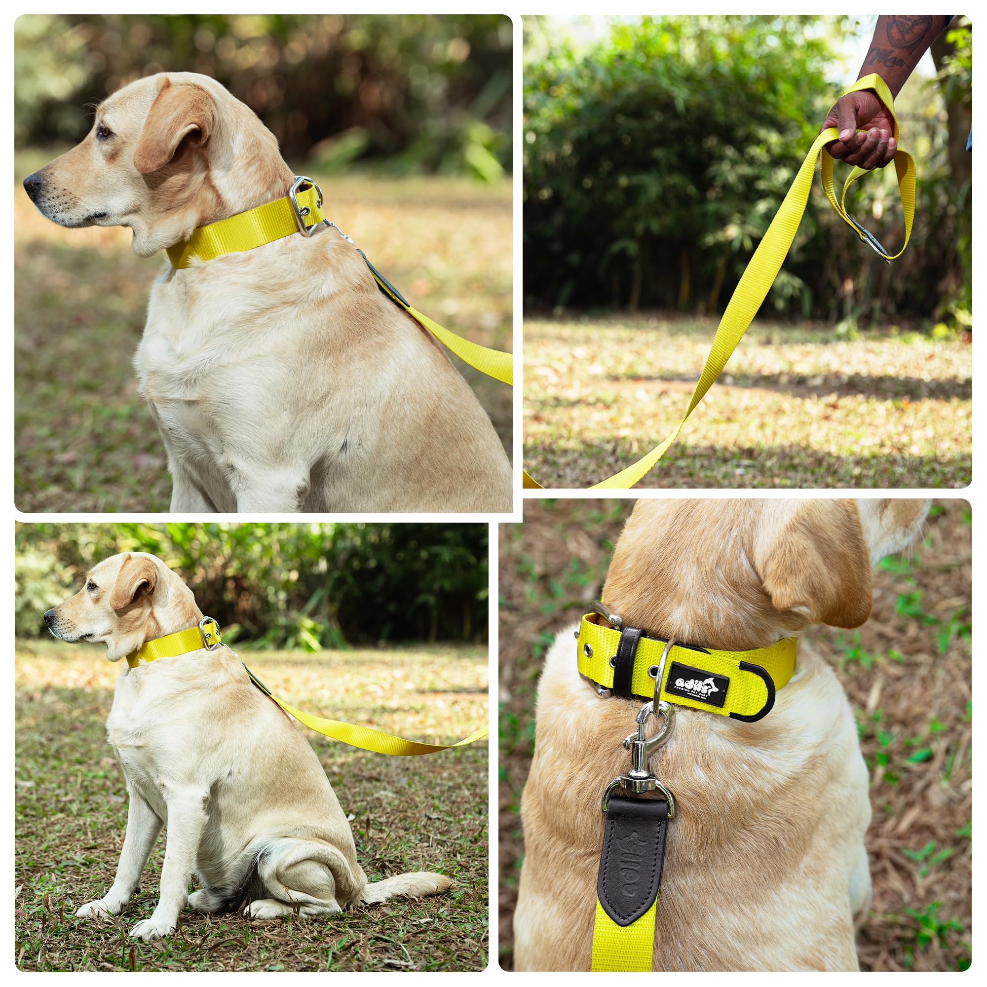 ADIL's Nylon Dog Leash, Heavy Duty Walking Lead with 360° Swivel Metal Hook 1.5 Inch Wide Durable Training Cord with Comfortable Loop Handle for Medium Large Dogs