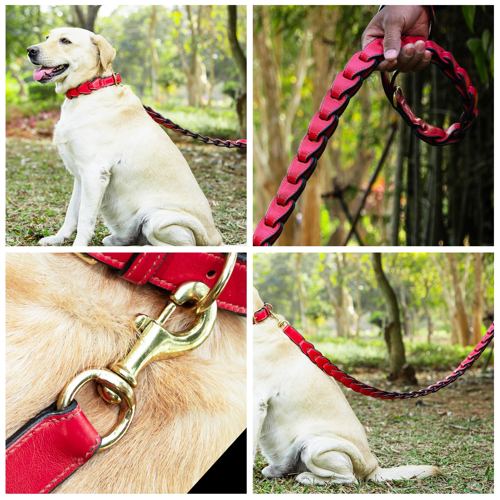 Adil's Premium Softy Leather Dog Leash 5ft Long 1 Inch Wide Braided Leash with Loop Handle 360° Golden Swivel Hook Strong D-Ring Durable Walking Training Lead for Small Medium Large Pets