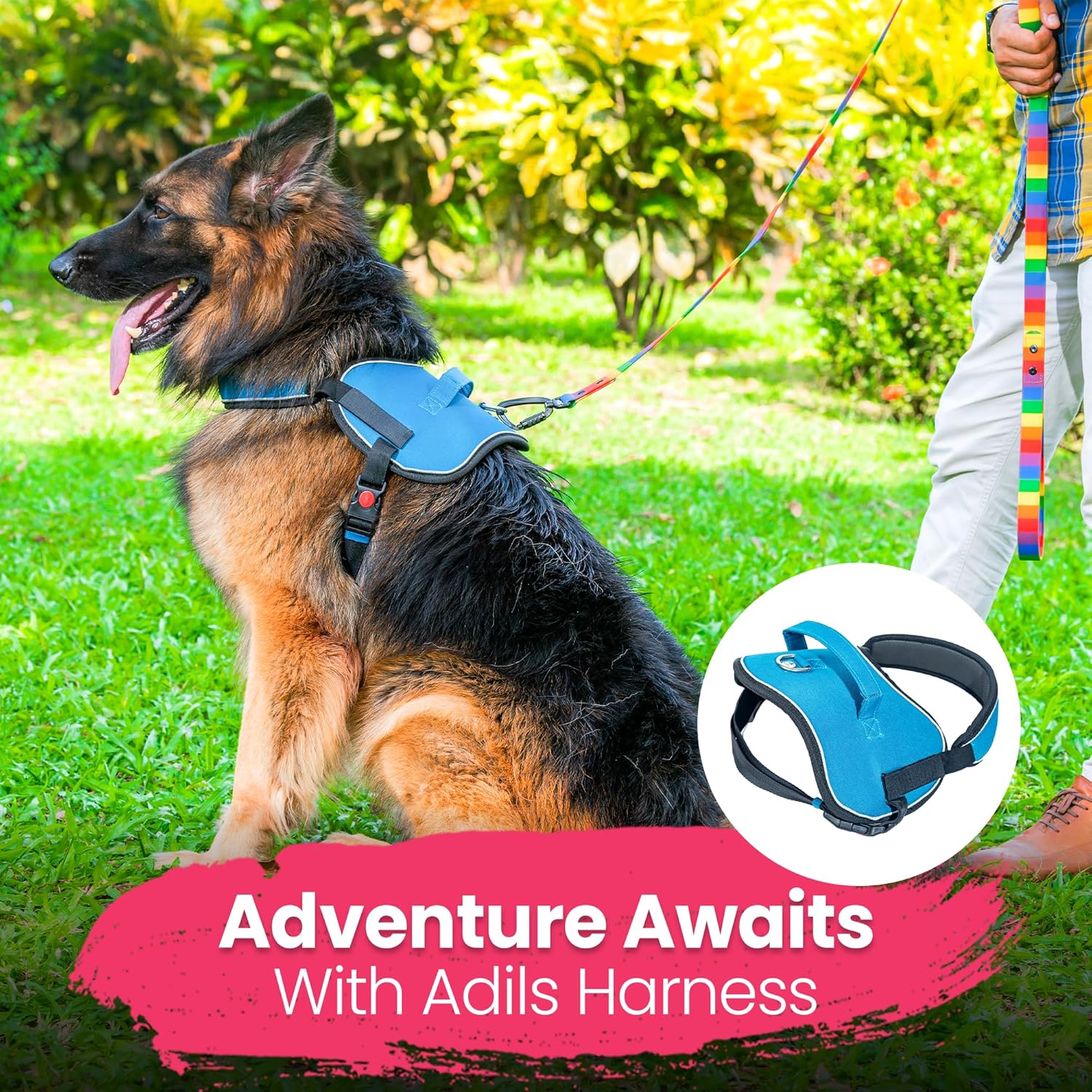 Adil’S No Pull Reflective Dog Harness – Adjustable Soft Dog Harness Set for Small Medium & Large Dogs for Outdoor Activity. (Blue, S)